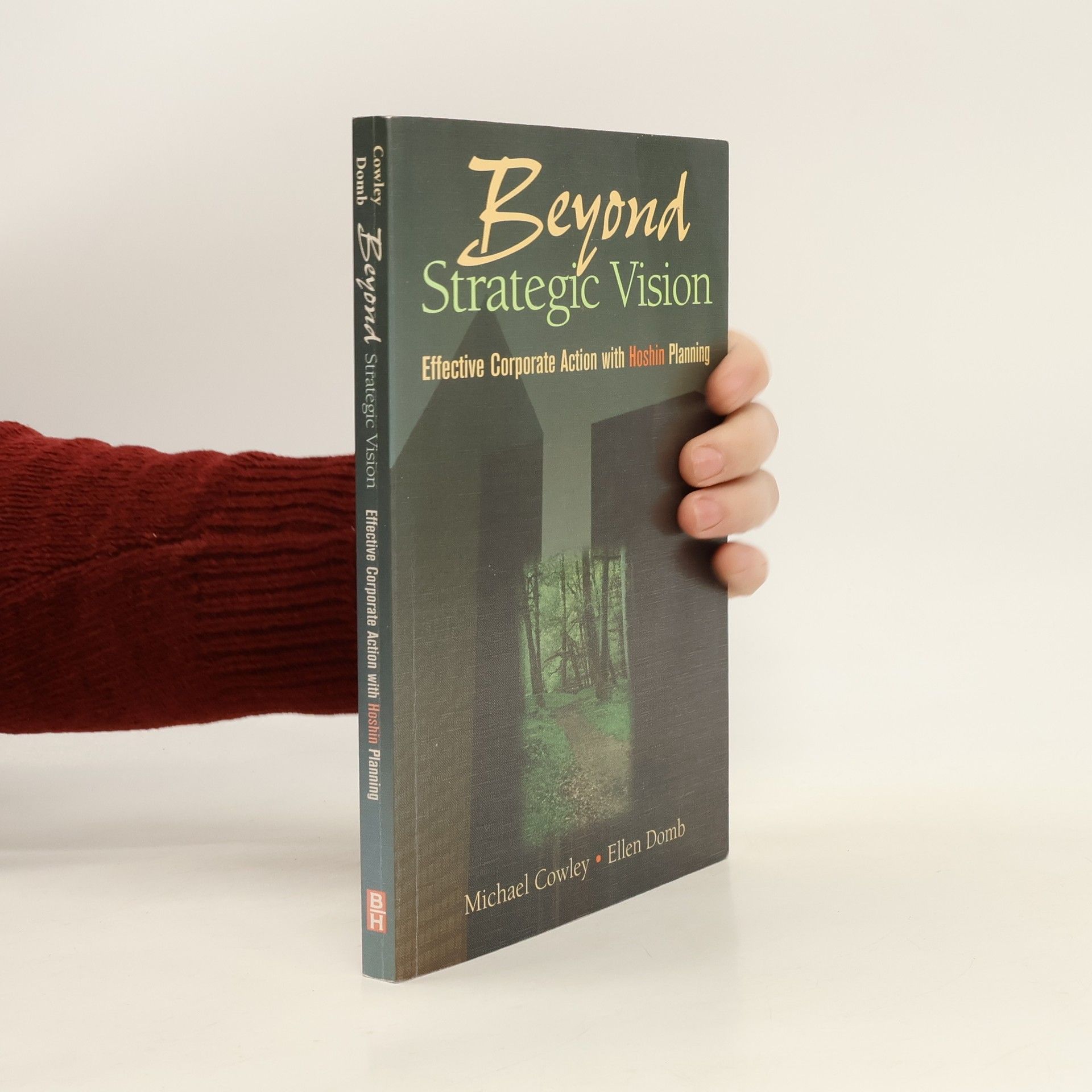 Michael Cowley Beyond Strategic Vision