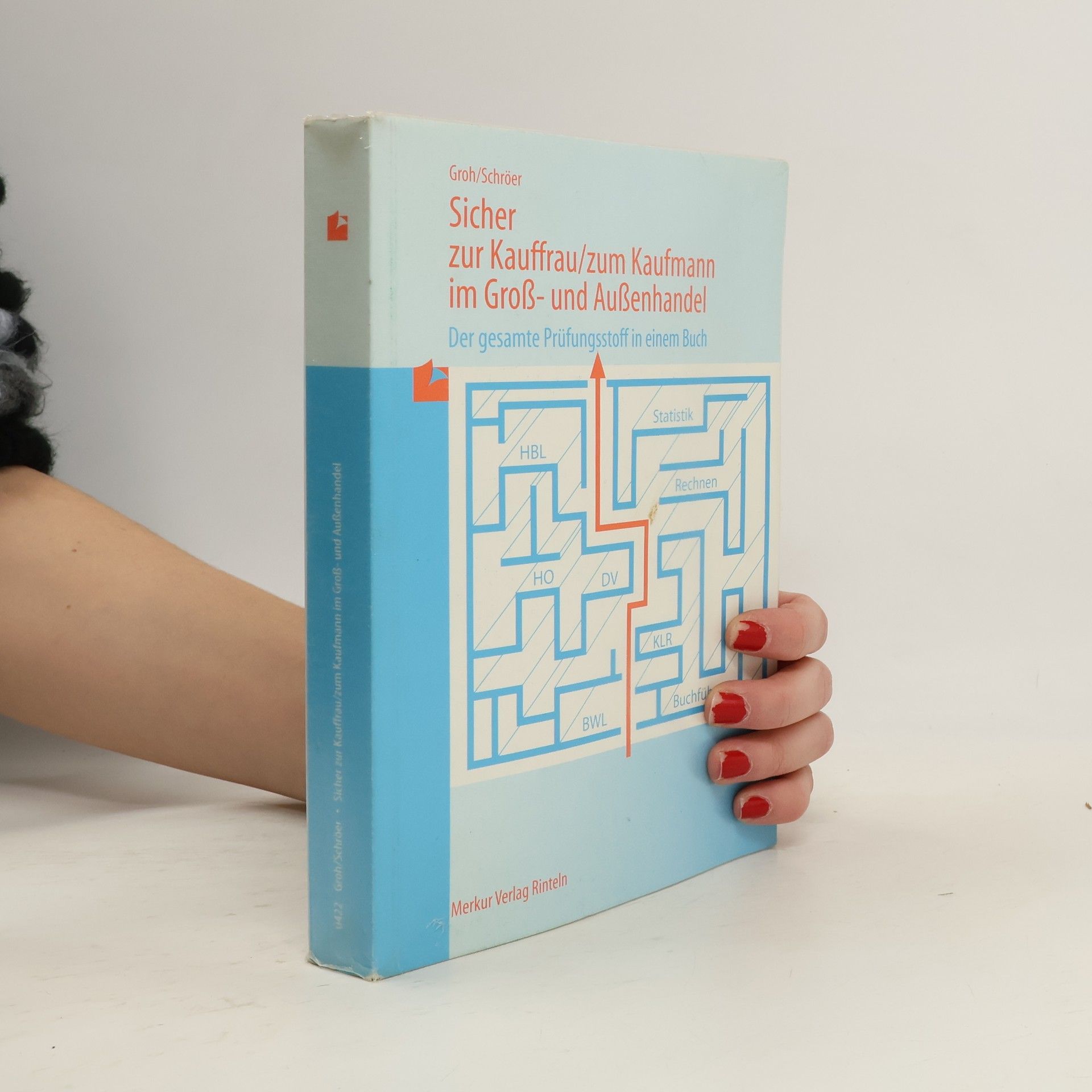 Sicher zur Kauffrau, zum Kaufmann im Groß- und Außenhandel. Der gesamte Prüfungsstoff in einem Buch