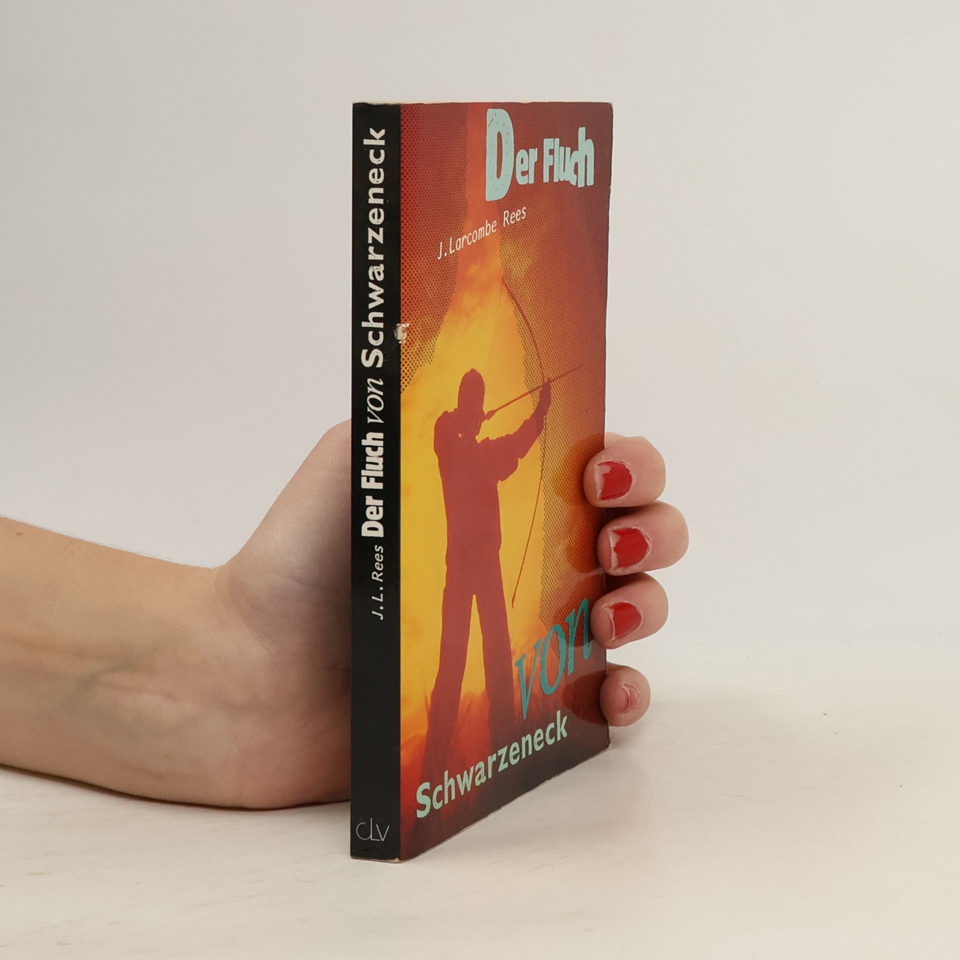 Der Fluch von Schwarzeneck