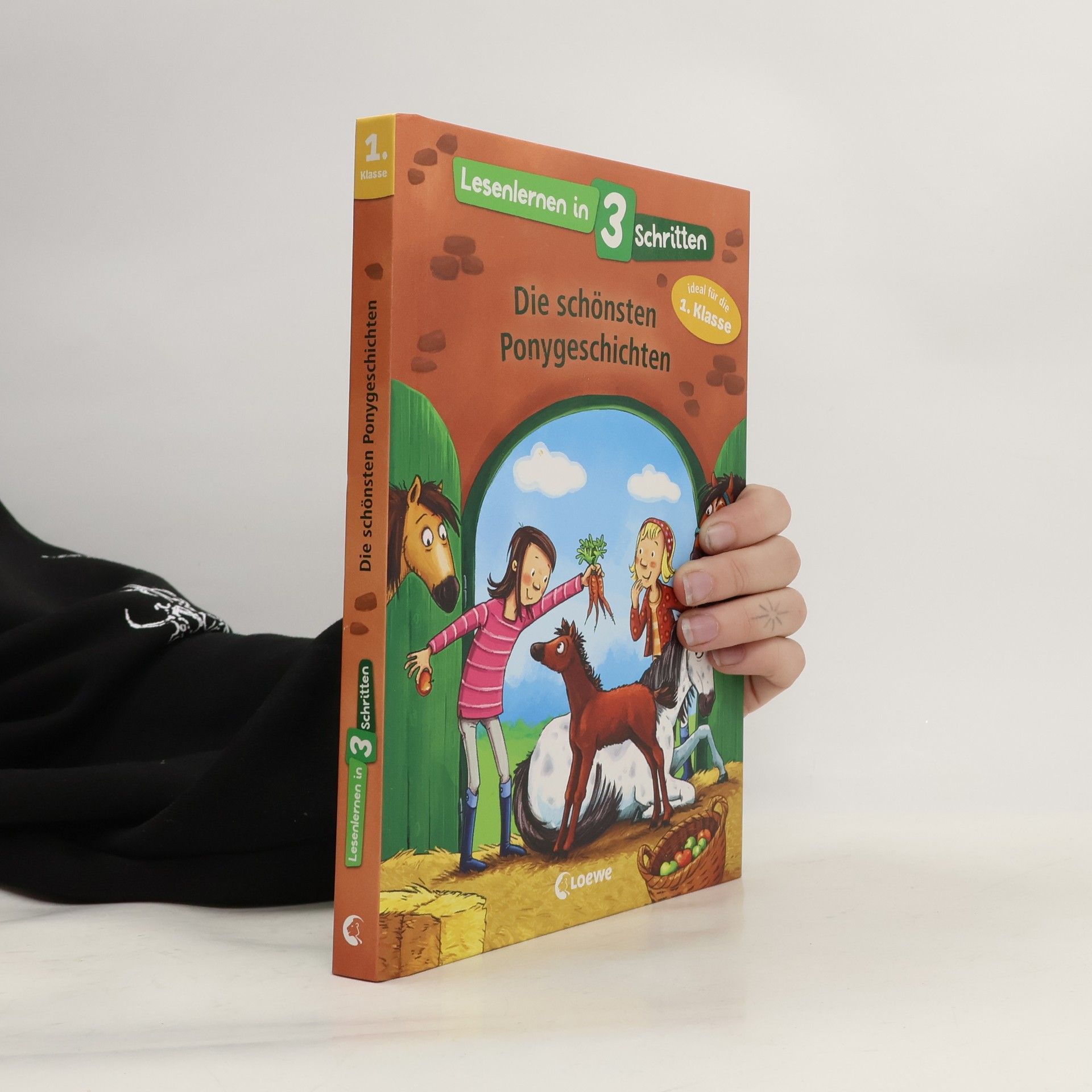 Autorenkollektiv Die schönsten Ponygeschichten