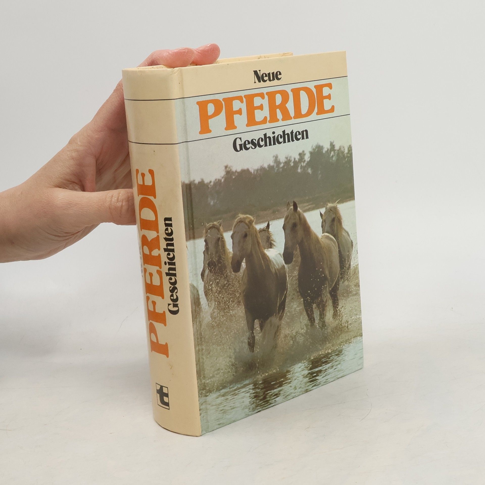 Kolektív autorov Neue Pferde-Geschichten