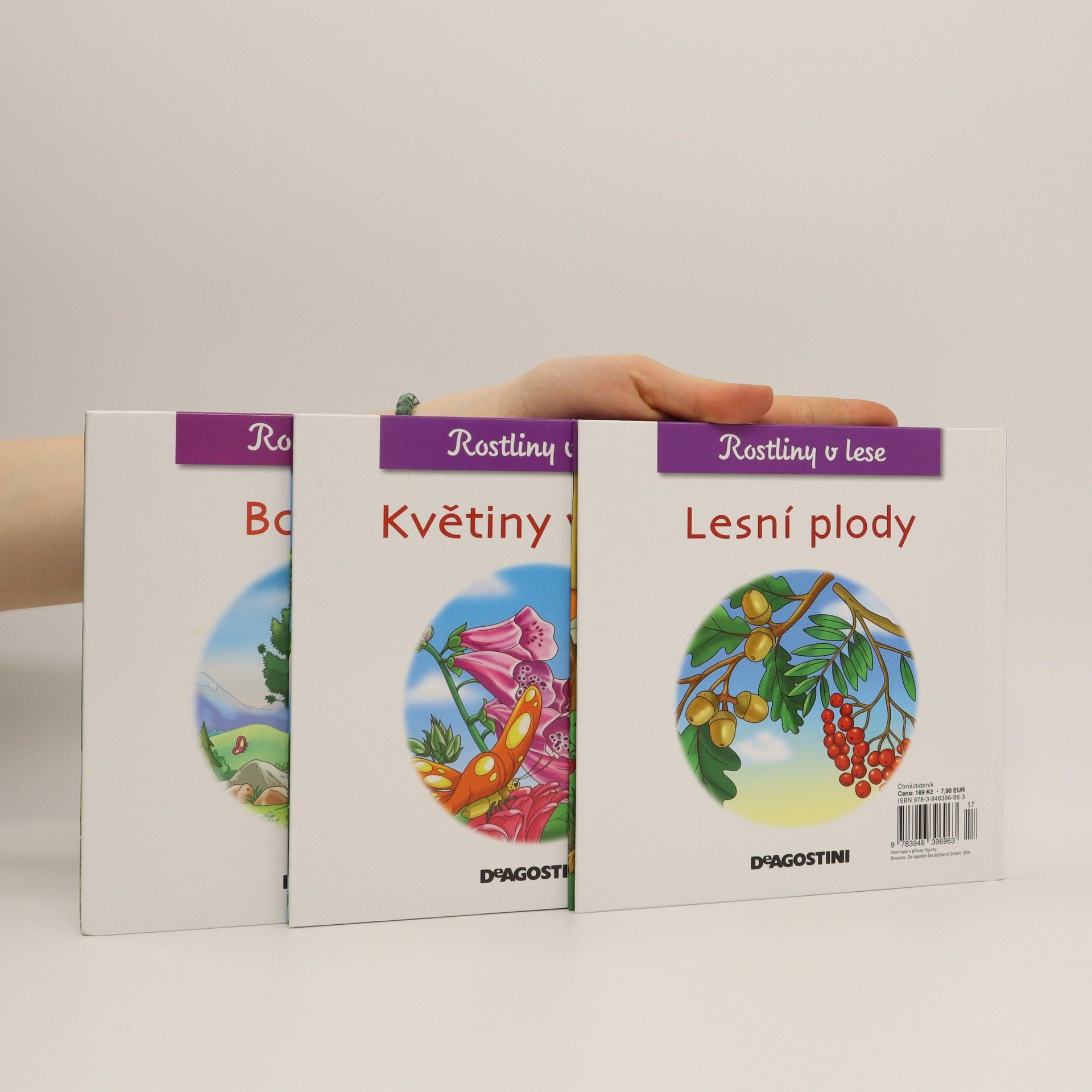Autorenkollektiv Rostliny v lese - Borovice, Květiny v lese, Lesní plody