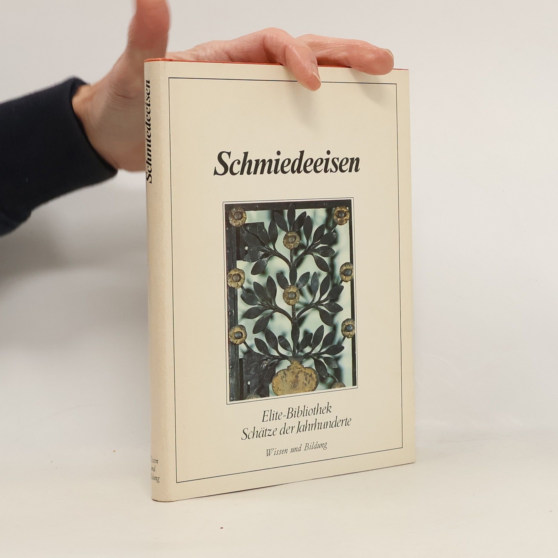 Auteurscollectief Schmiedeeisen