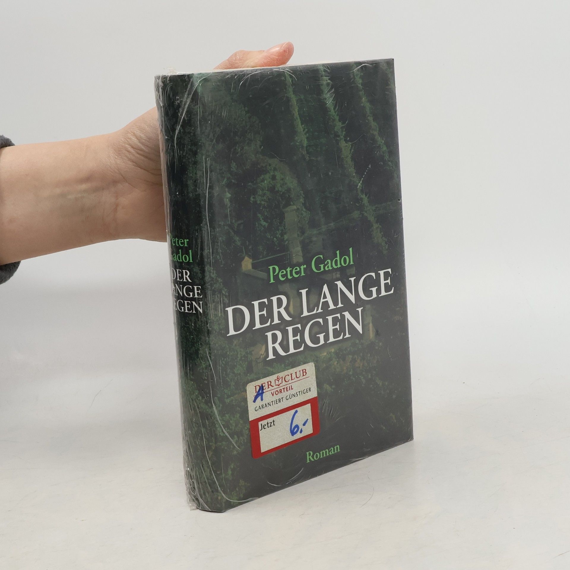 Peter Gadol Der lange Regen