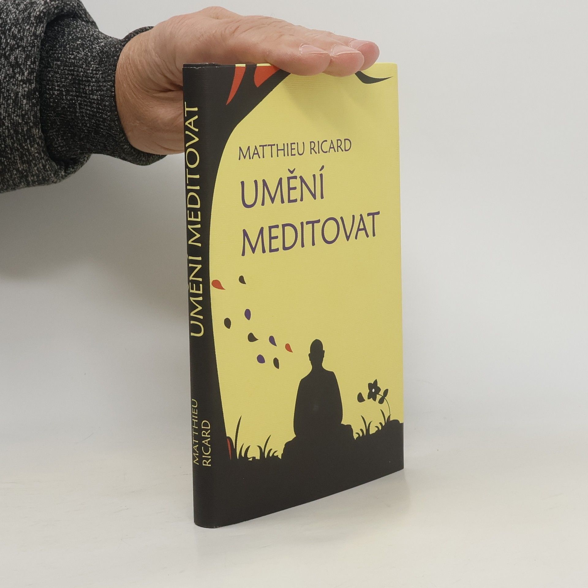 Ricard Matthieu Umění meditovat