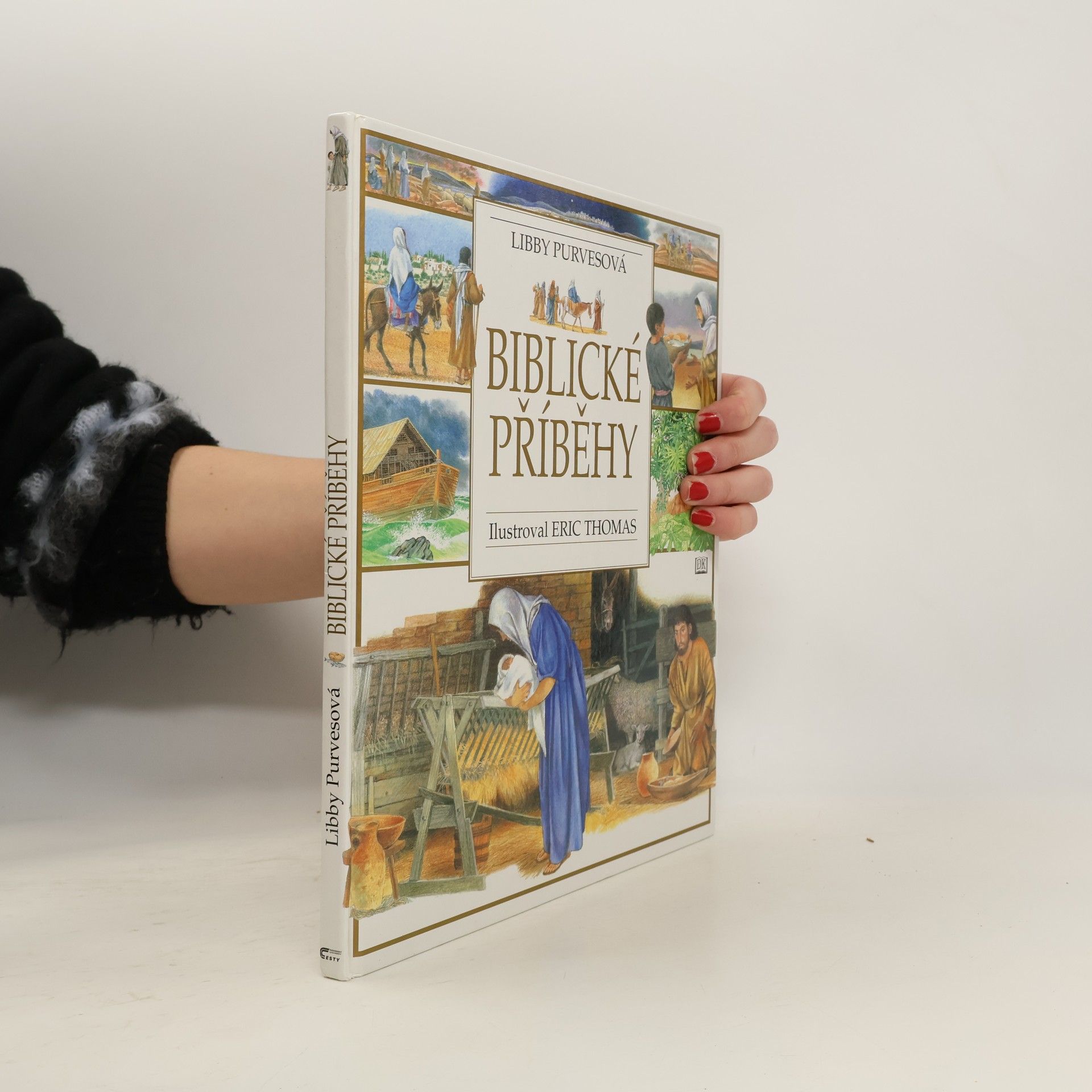 Biblické příběhy