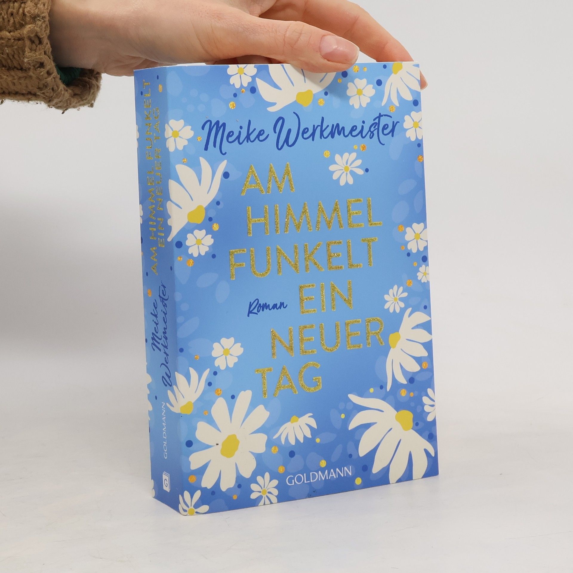 Meike Werkmeister Am Himmel funkelt ein neuer Tag