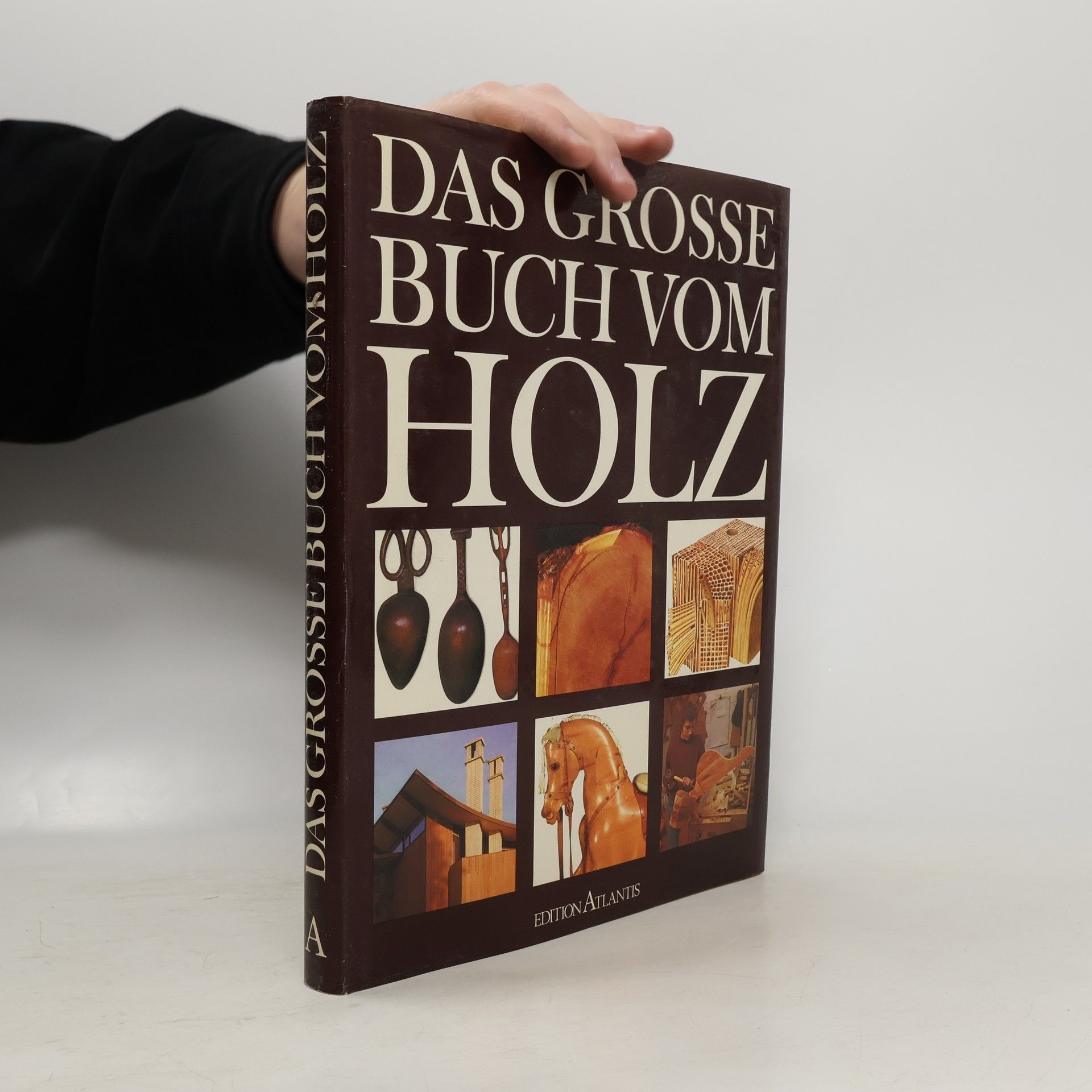 Collectif d'auteurs Das grosse Buch vom Holz
