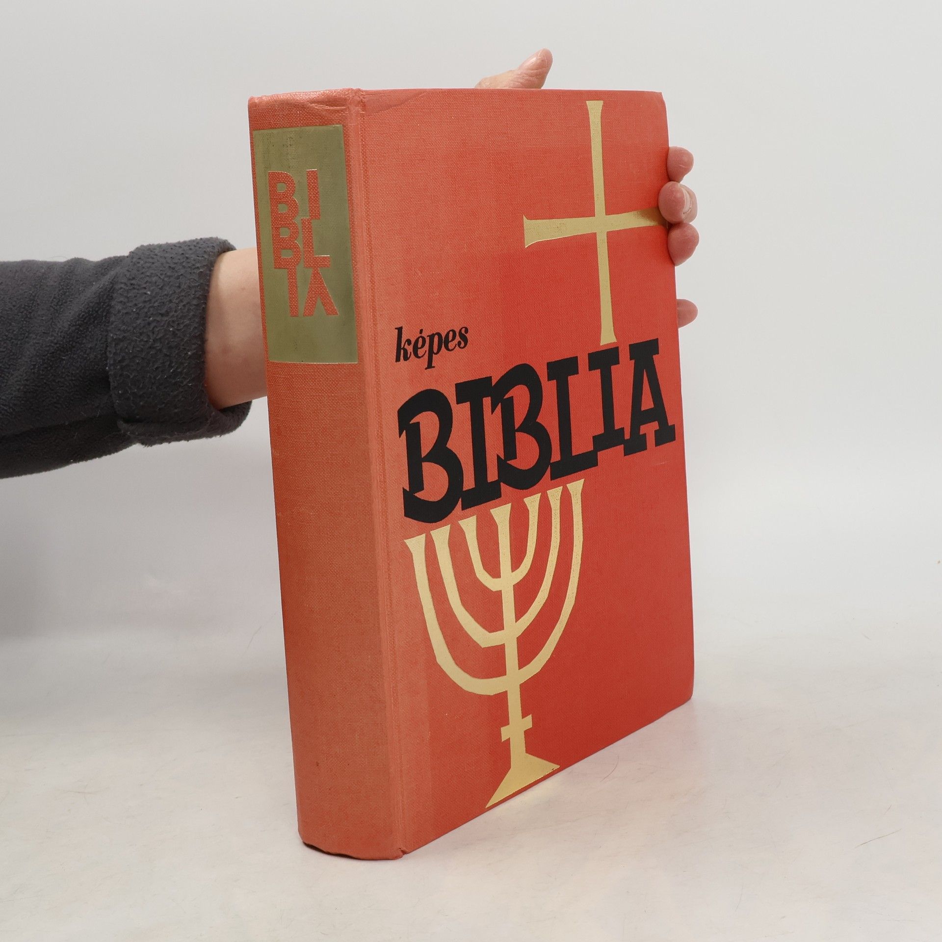 Collectif d'auteurs Képes Biblia