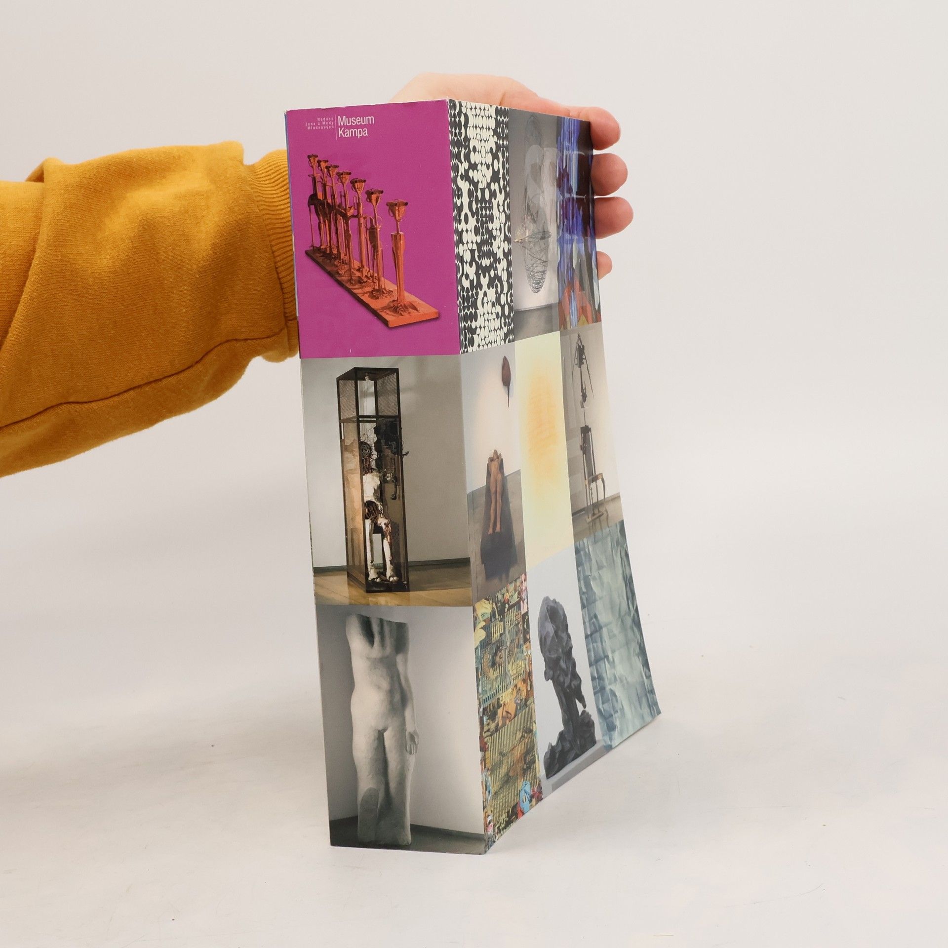 Meda Mládková Sbírky Musea Kampa. The Museum Kampa Collection