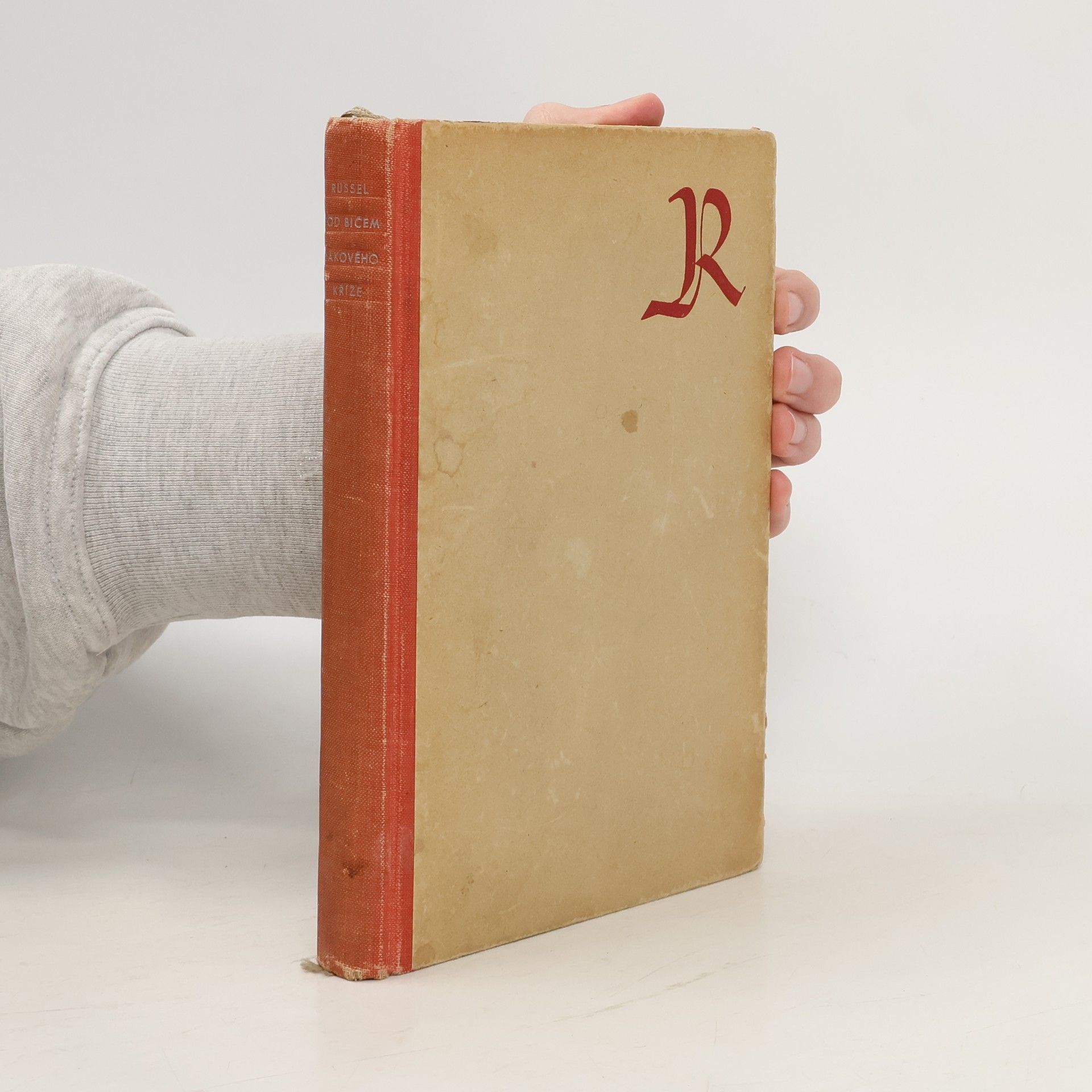 Pod bičem hákového kříže