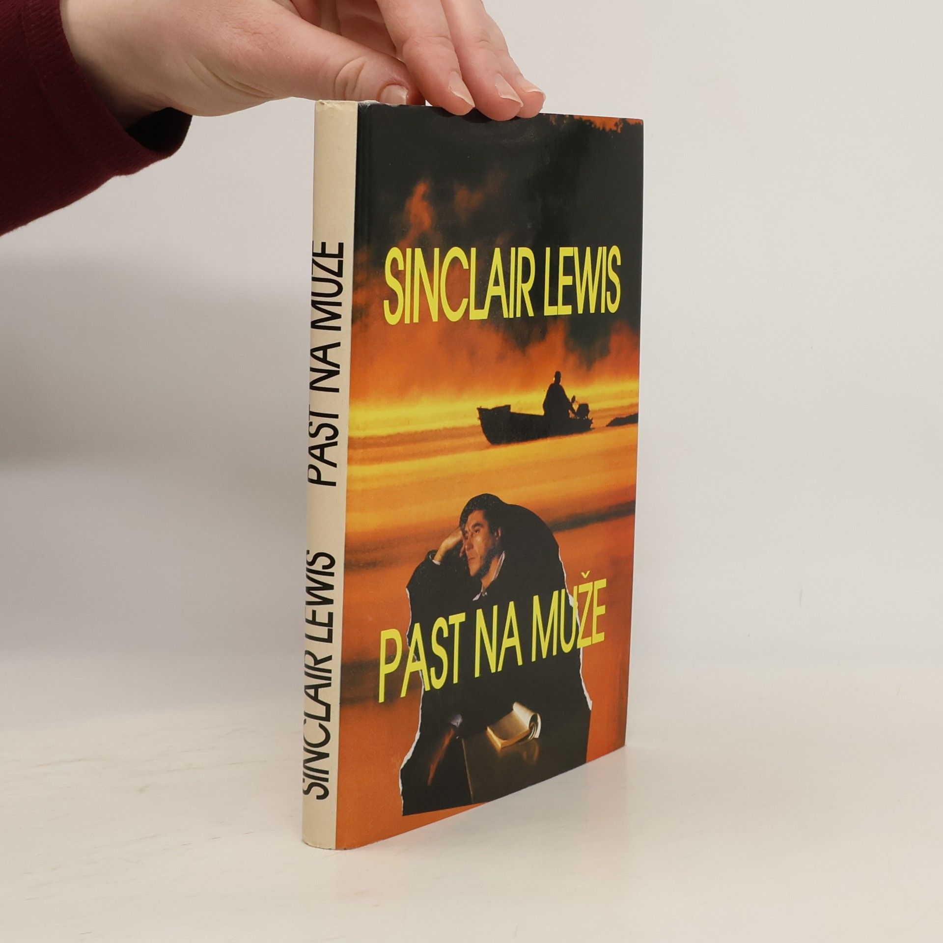 Sinclair Lewis Past na muže