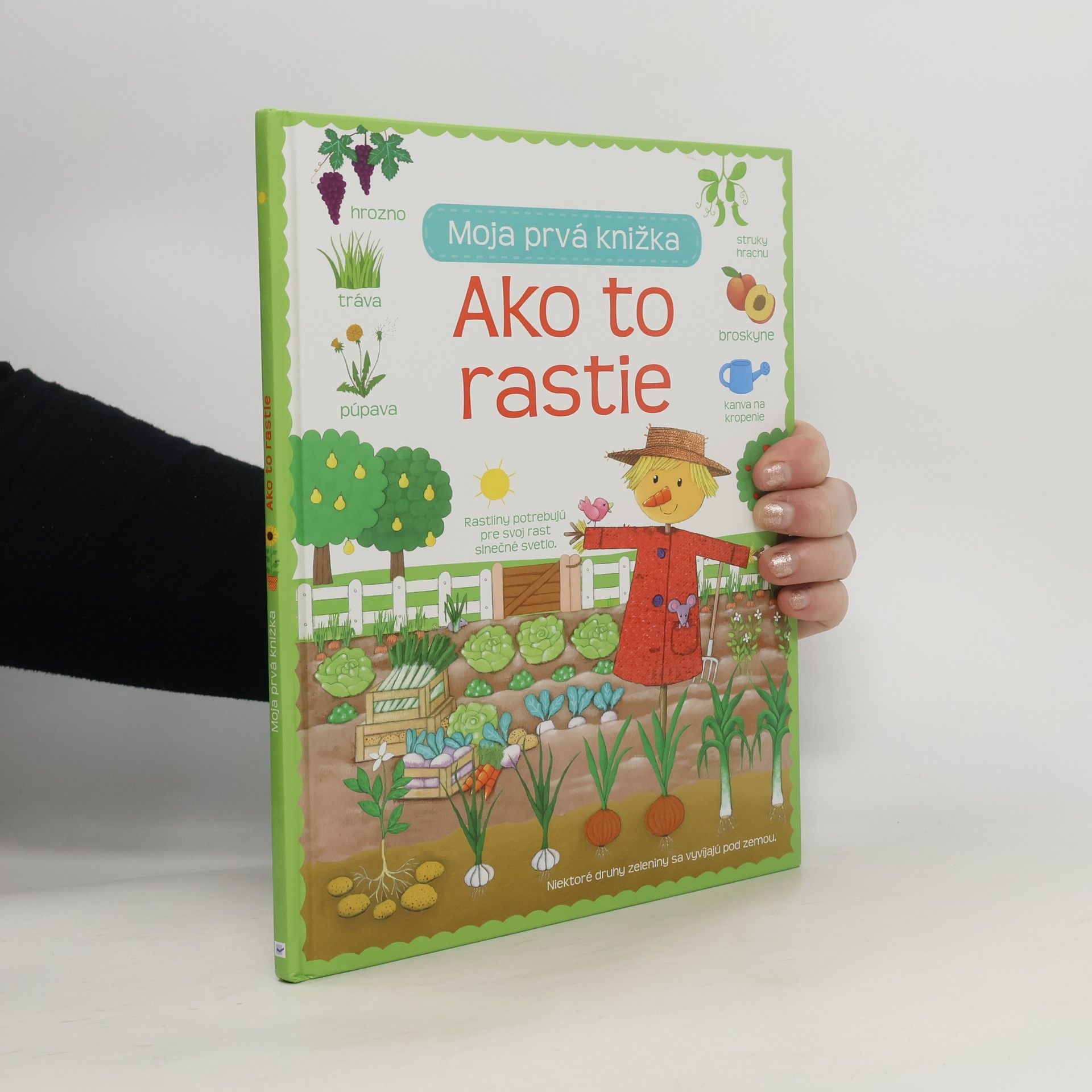 Auteurscollectief Ako to rastie