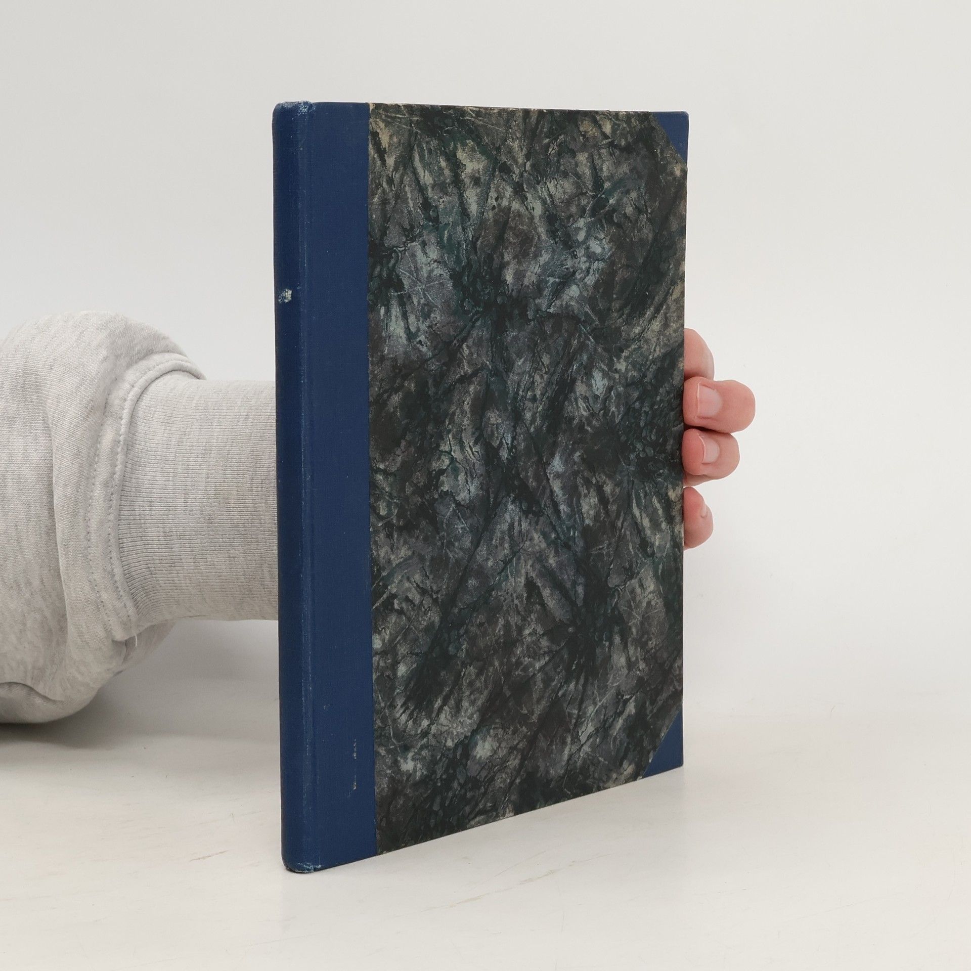 Automobil vychovatelem