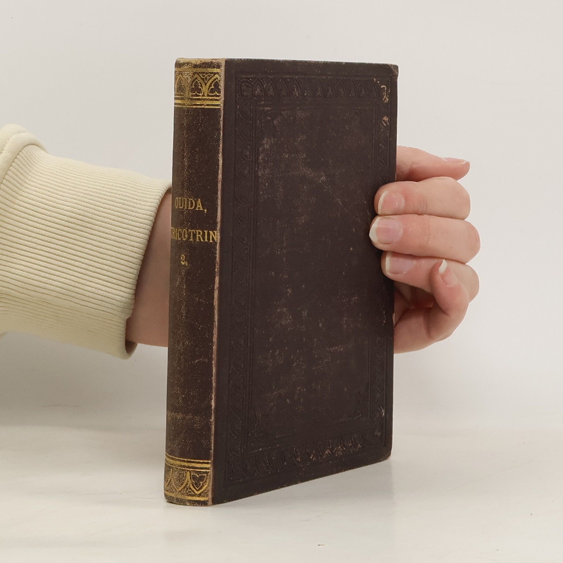 Ouida Tricotrin, the Story of a Waif and Stray, Vol. 2