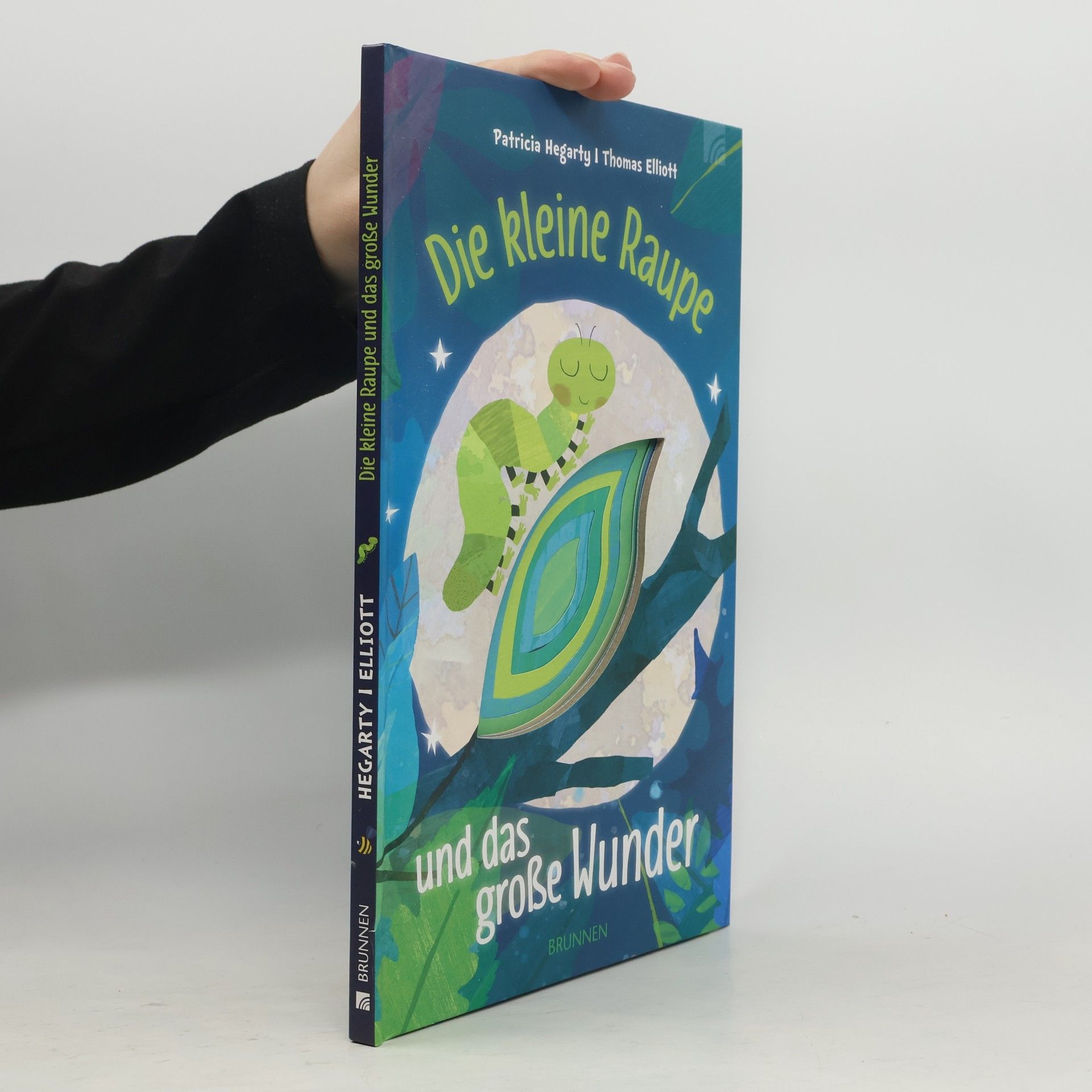 Patricia Hegarty Die kleine Raupe und das große Wunder