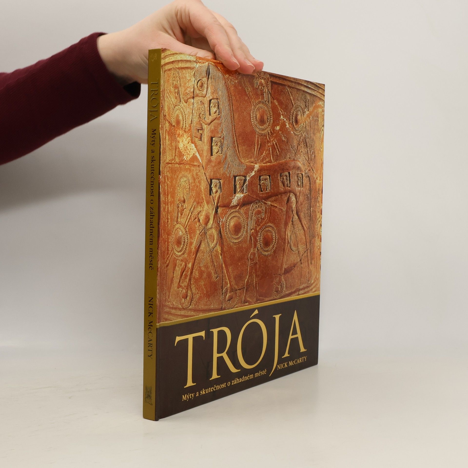 Trója. Mýty a skutečnost o záhadném městě