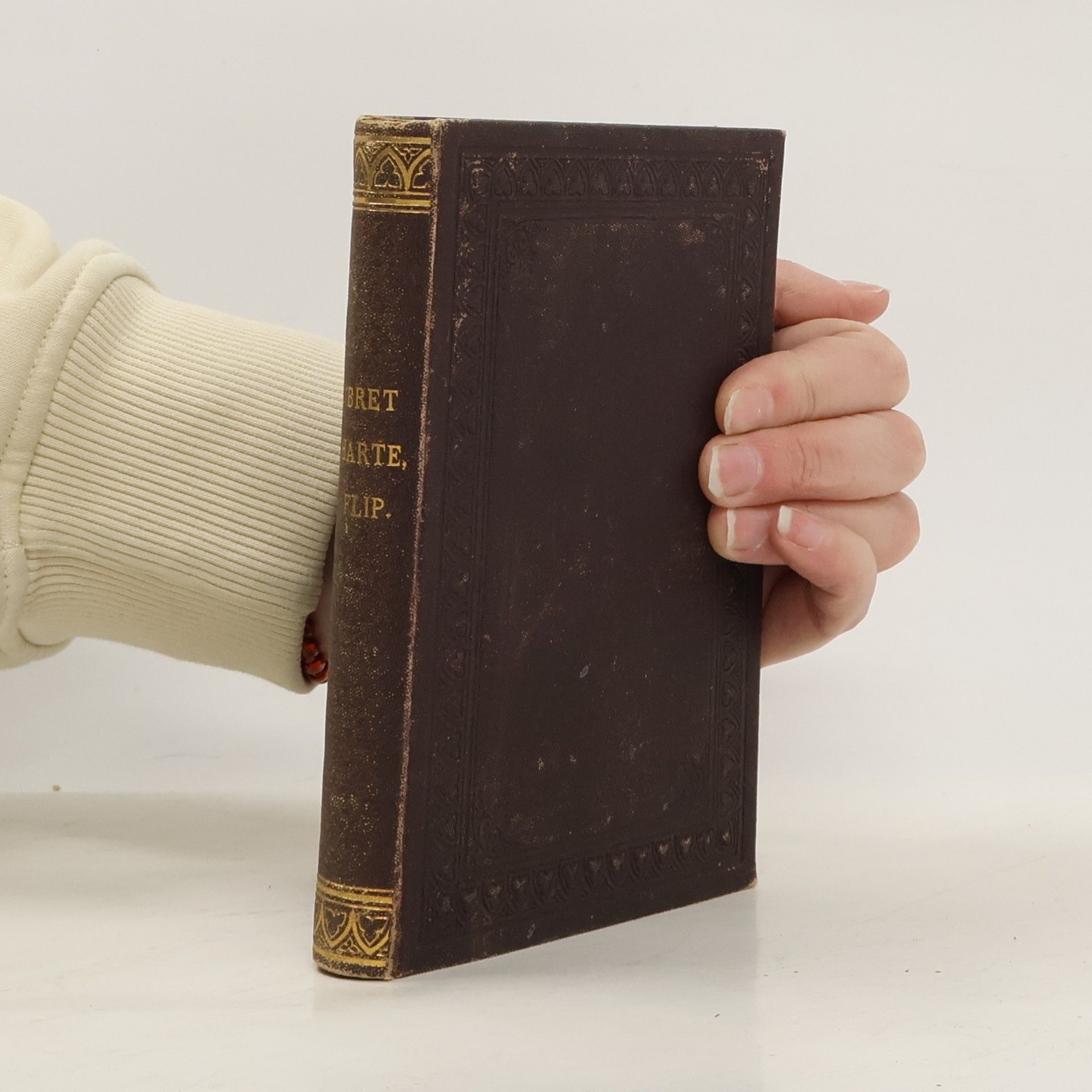 Bret Harte Flip and Other Stories