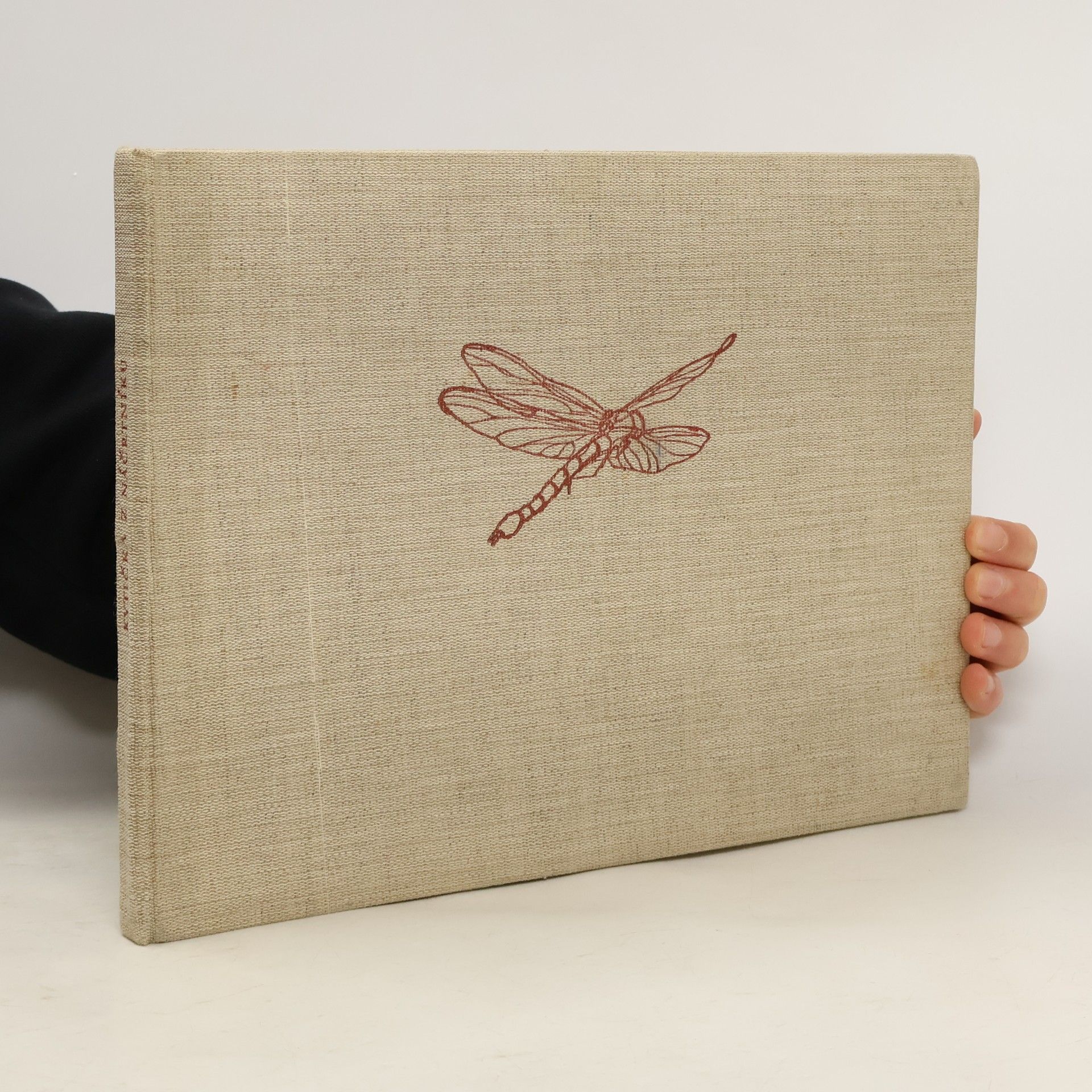 František Hrubín Kytička z náčrtníku