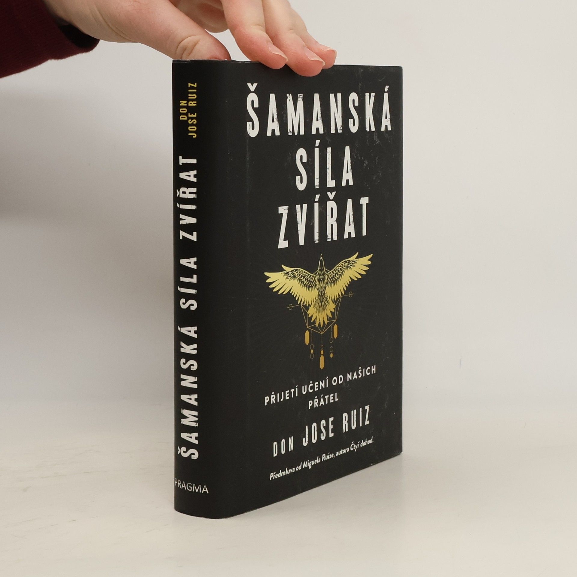 Šamanská síla zvířat