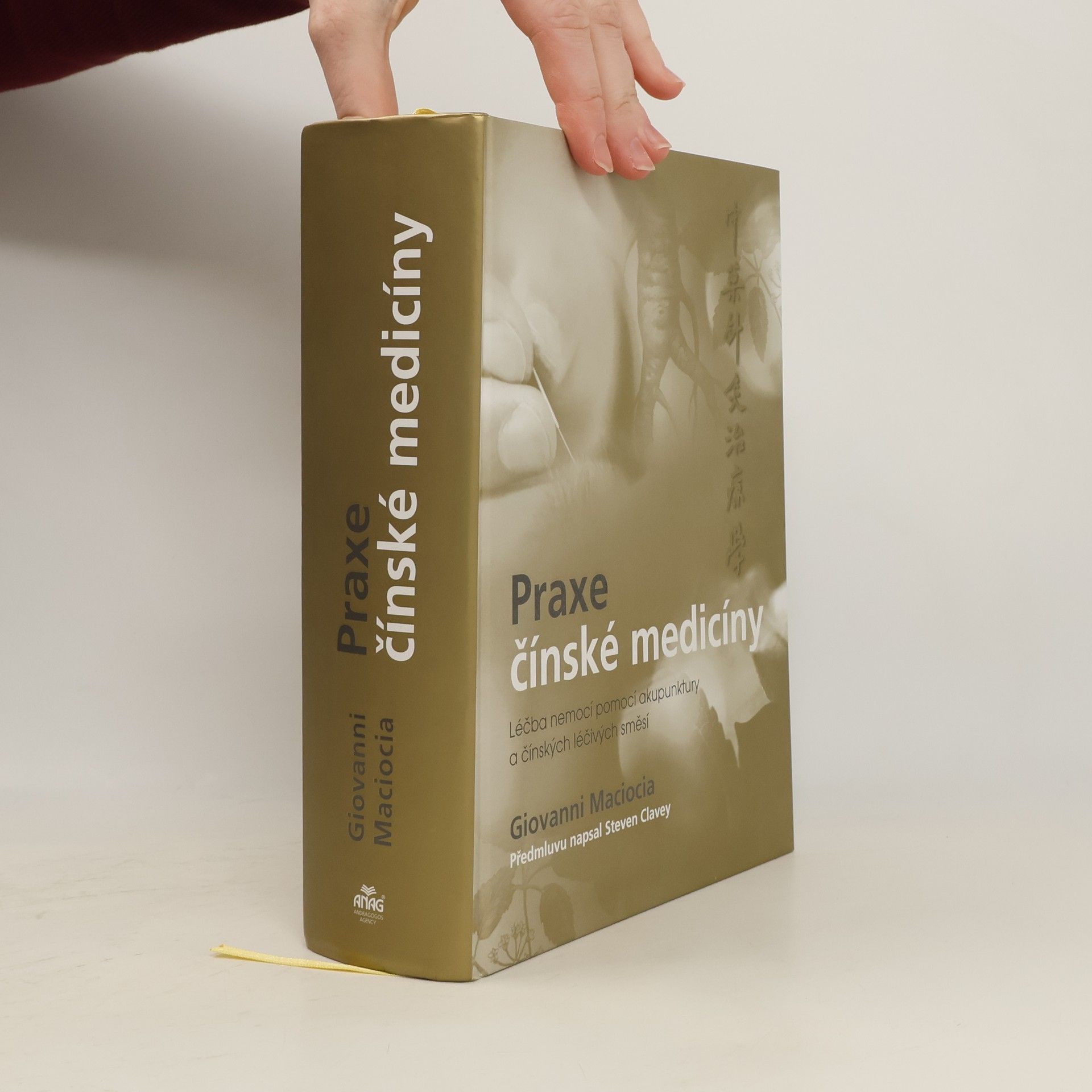 Praxe čínské medicíny