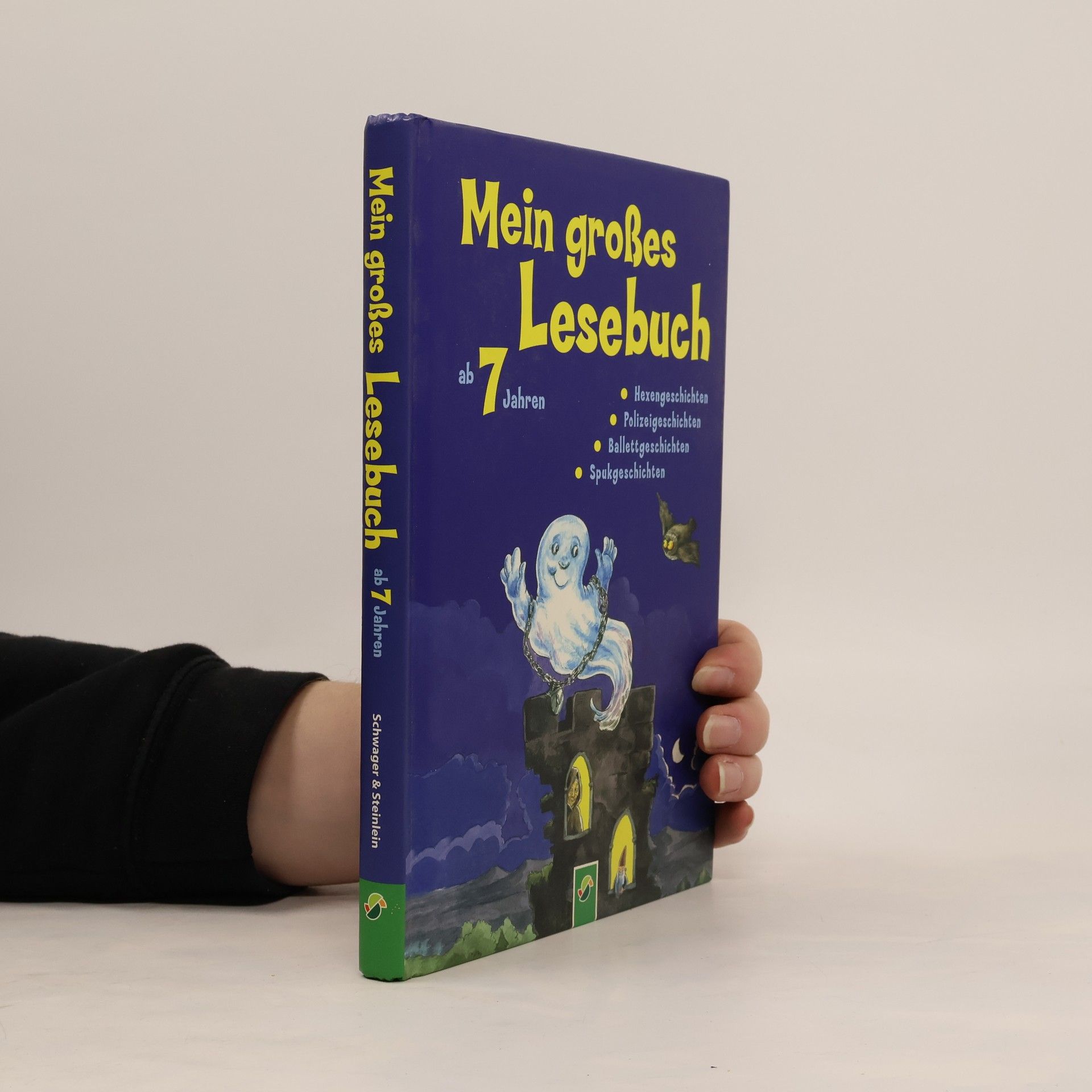 Mein großes Lesebuch ab 7 Jahren