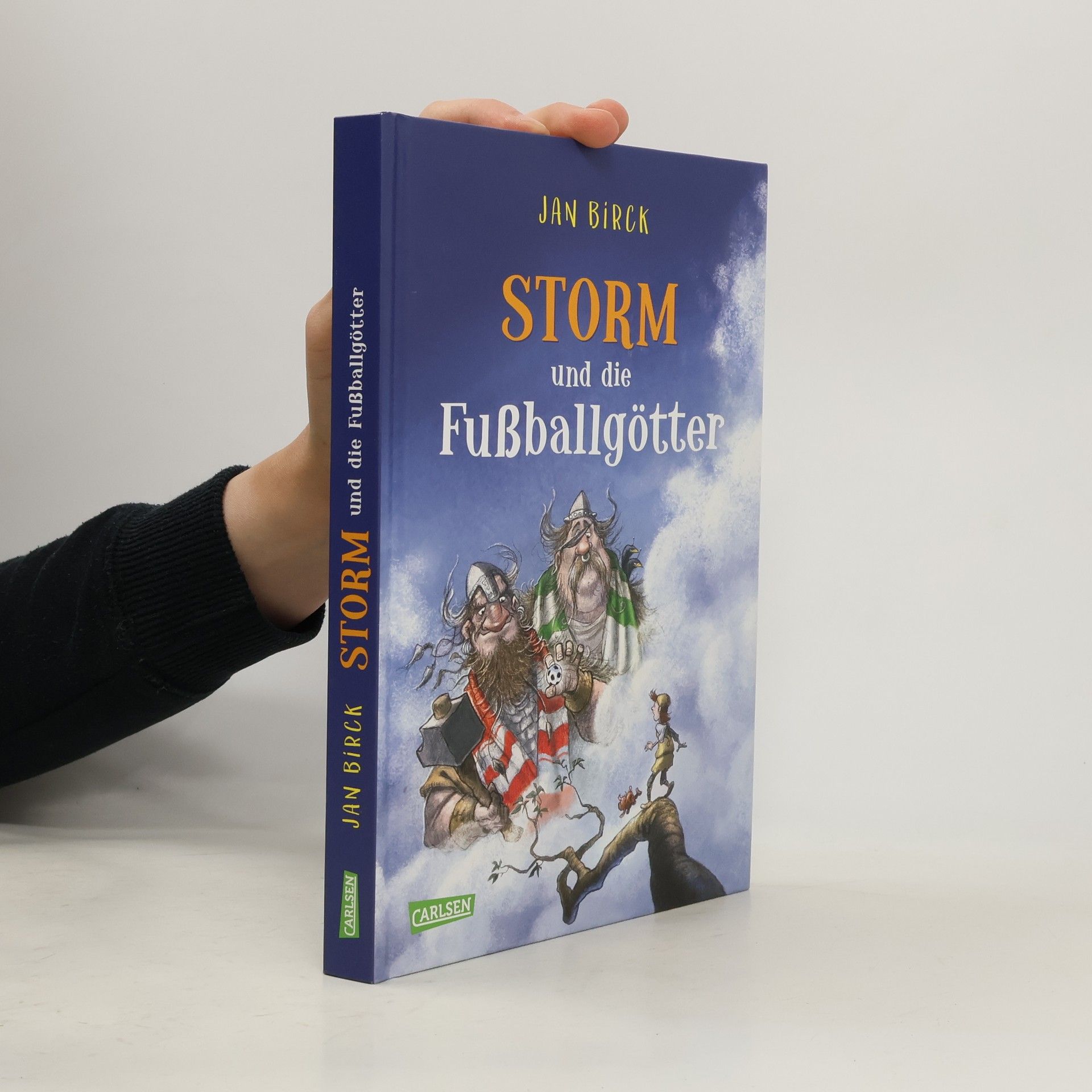 Jan Birck Storm und die Fußballgötter