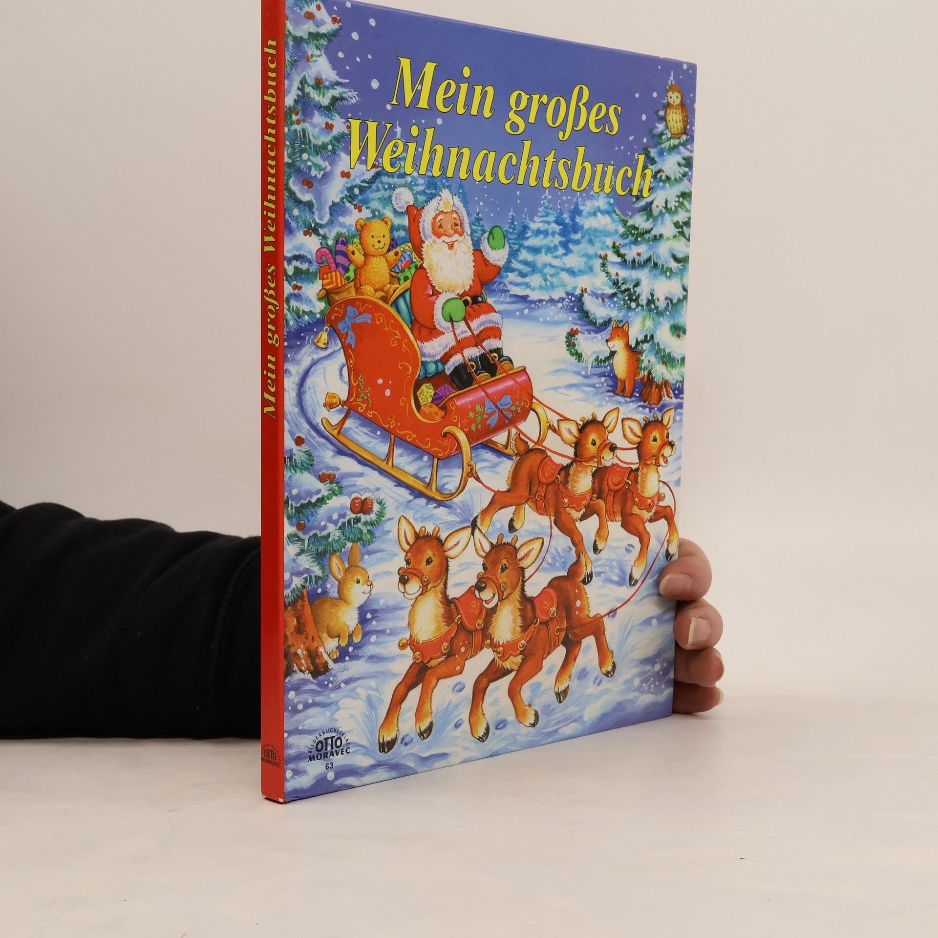 Collectif d'auteurs Mein großes Weihnachtsbuch