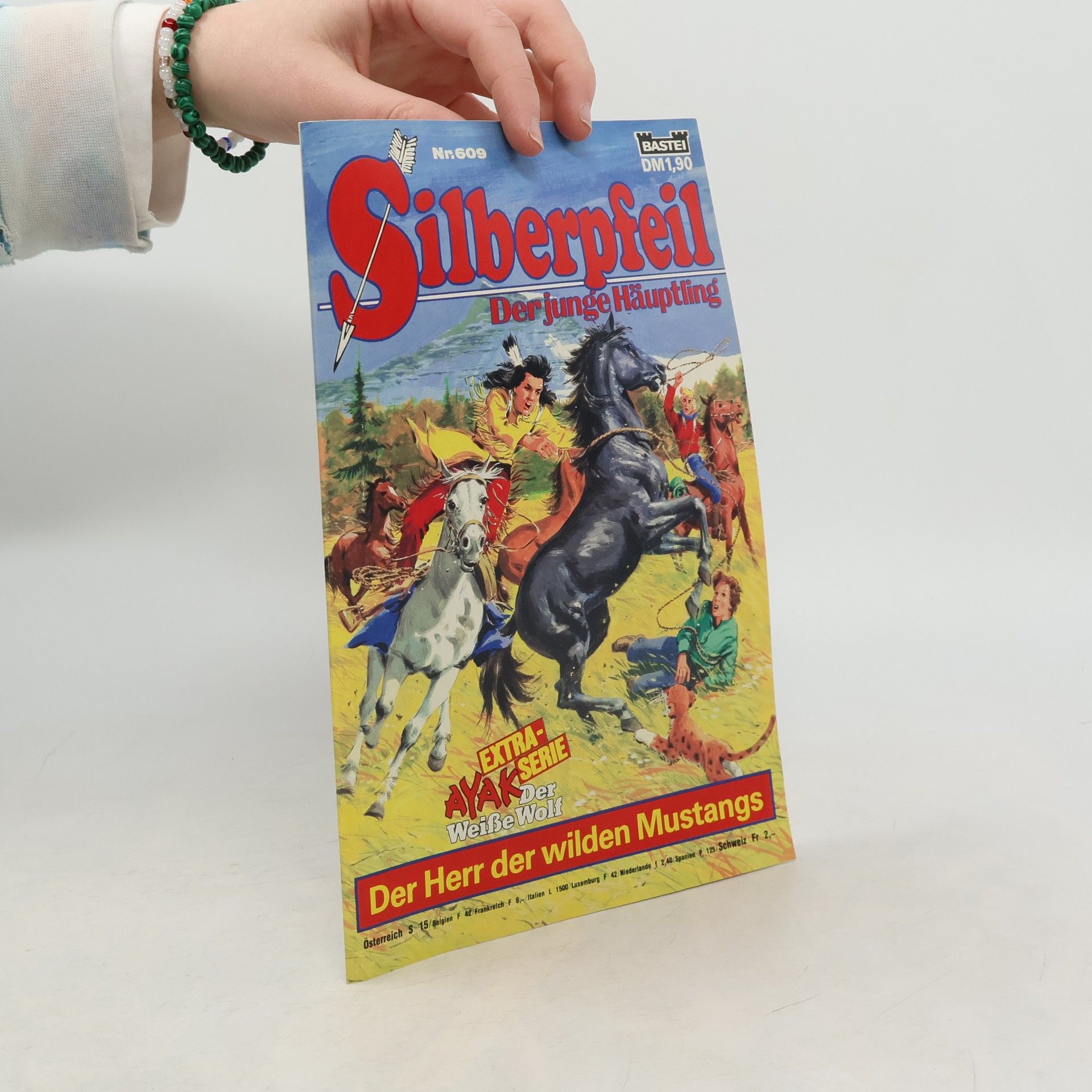 Autores varios Silberpfeil 609. Der junge Häuptling