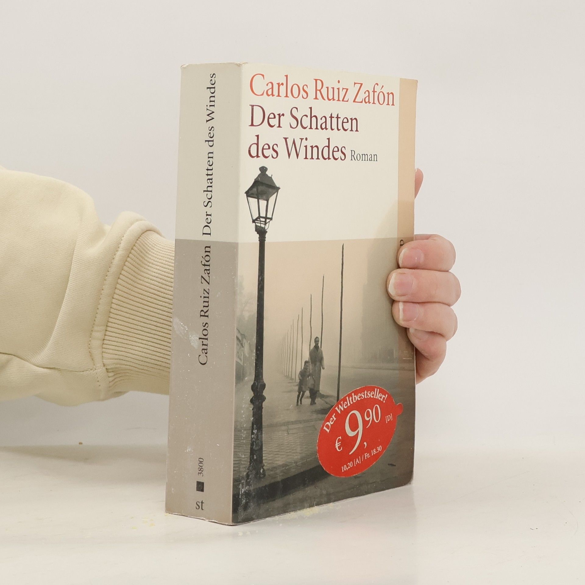 Carlos Ruiz Zafón Der Schatten des Windes