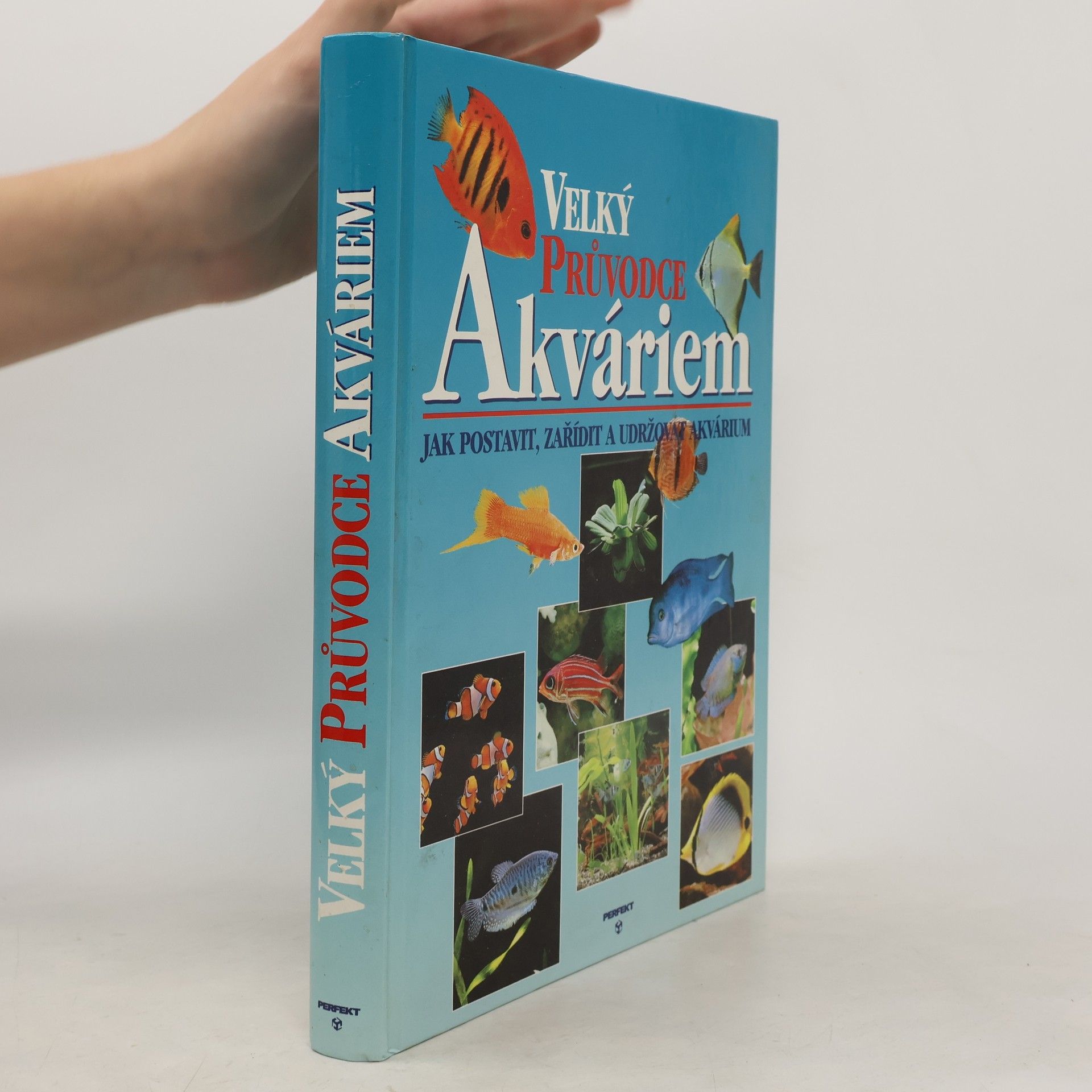 Thierry Maitre Allain Velký průvodce akváriem. Jak postavit, zařídit a udržovat akvárium