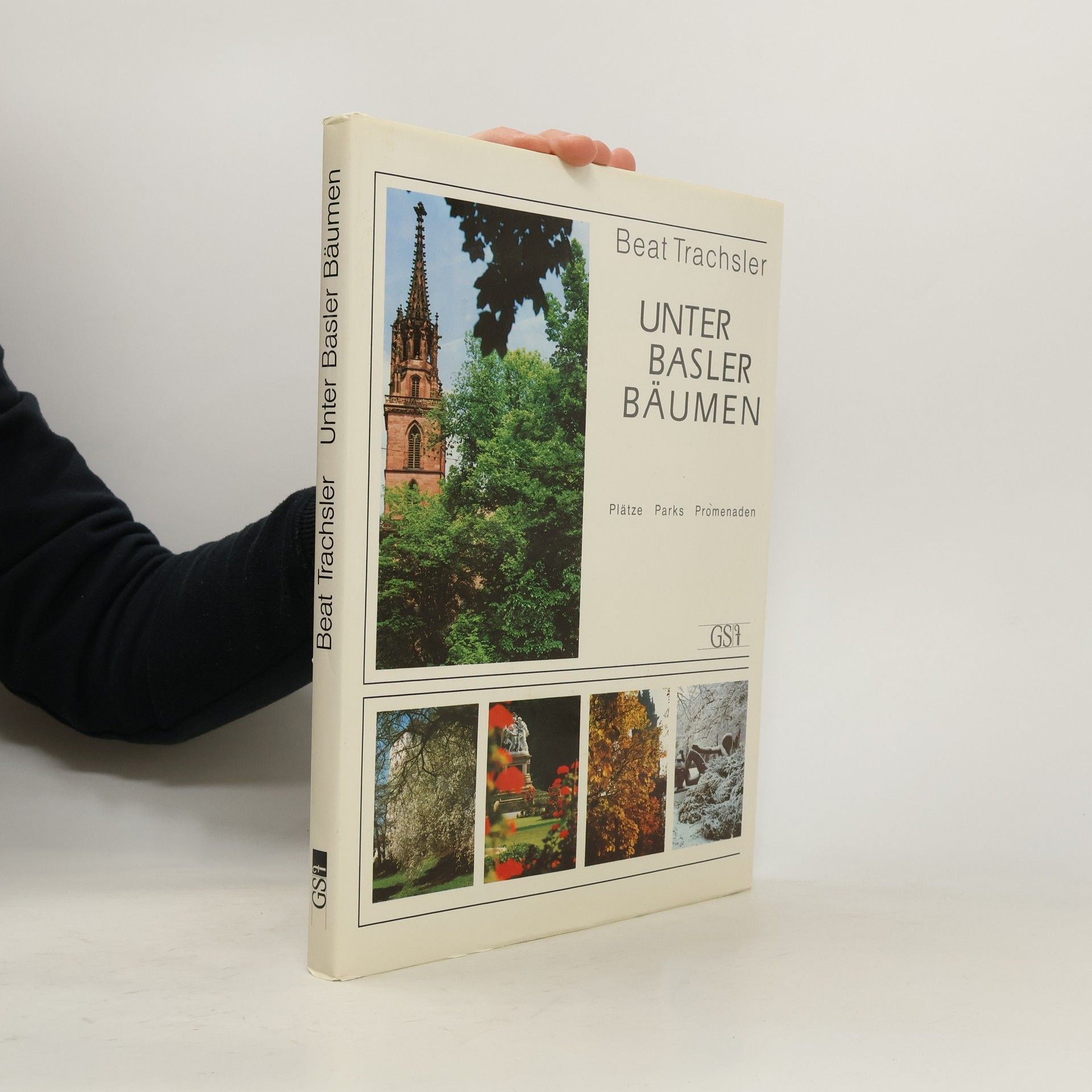 Unter Basler Bäumen