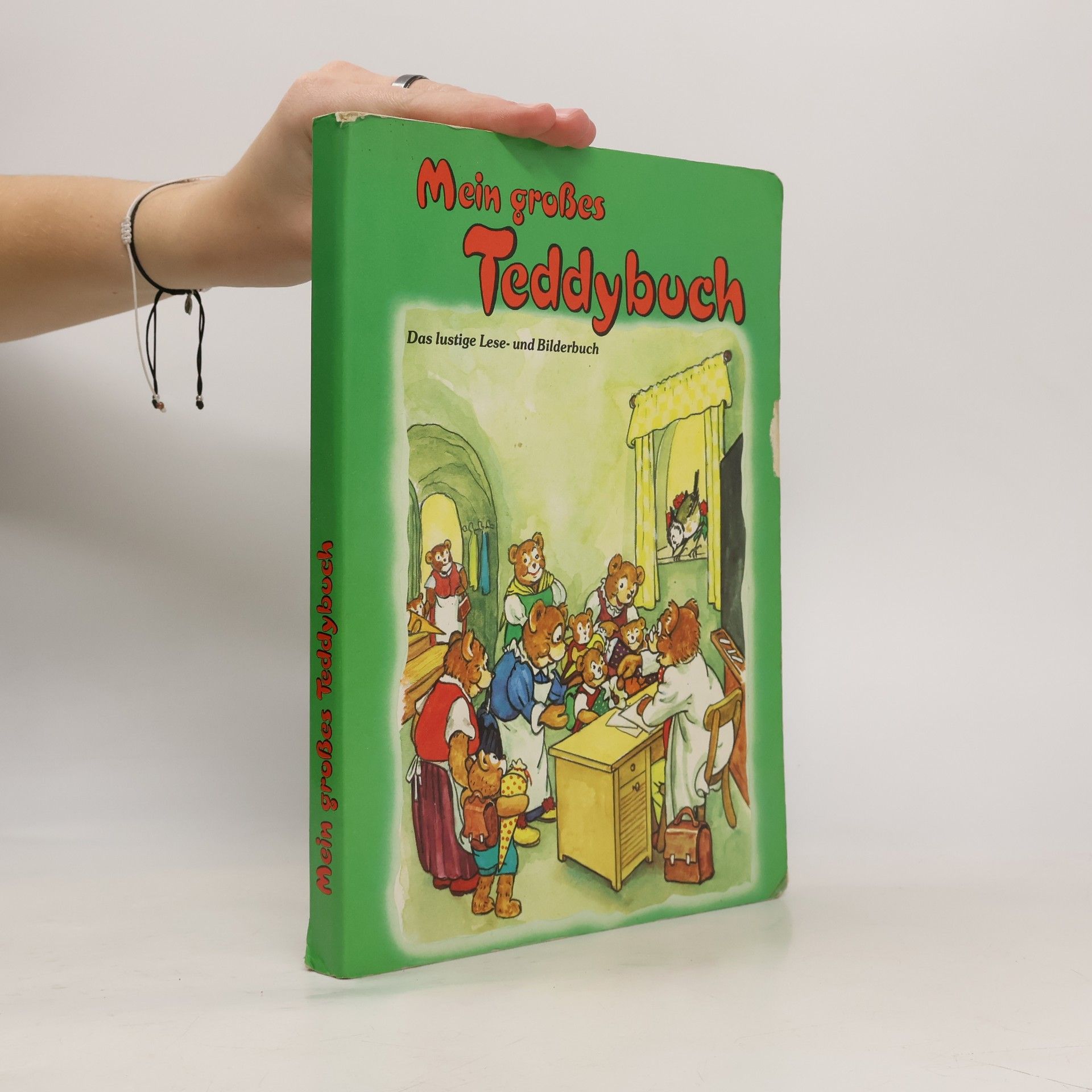 Autorenkollektiv Mein grosses Teddybuch