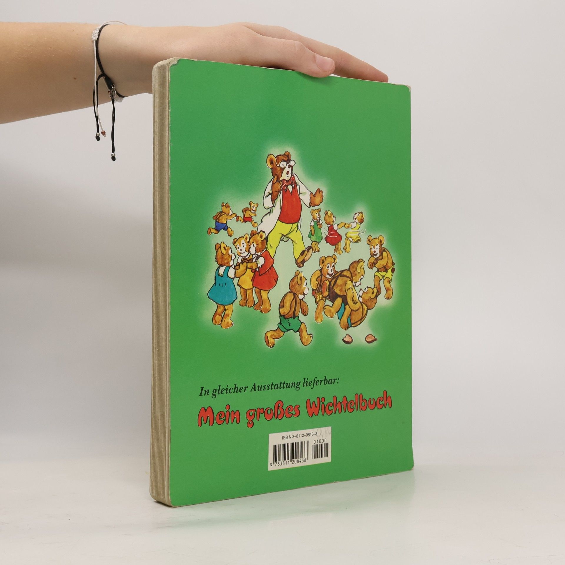 Autores varios Mein grosses Teddybuch