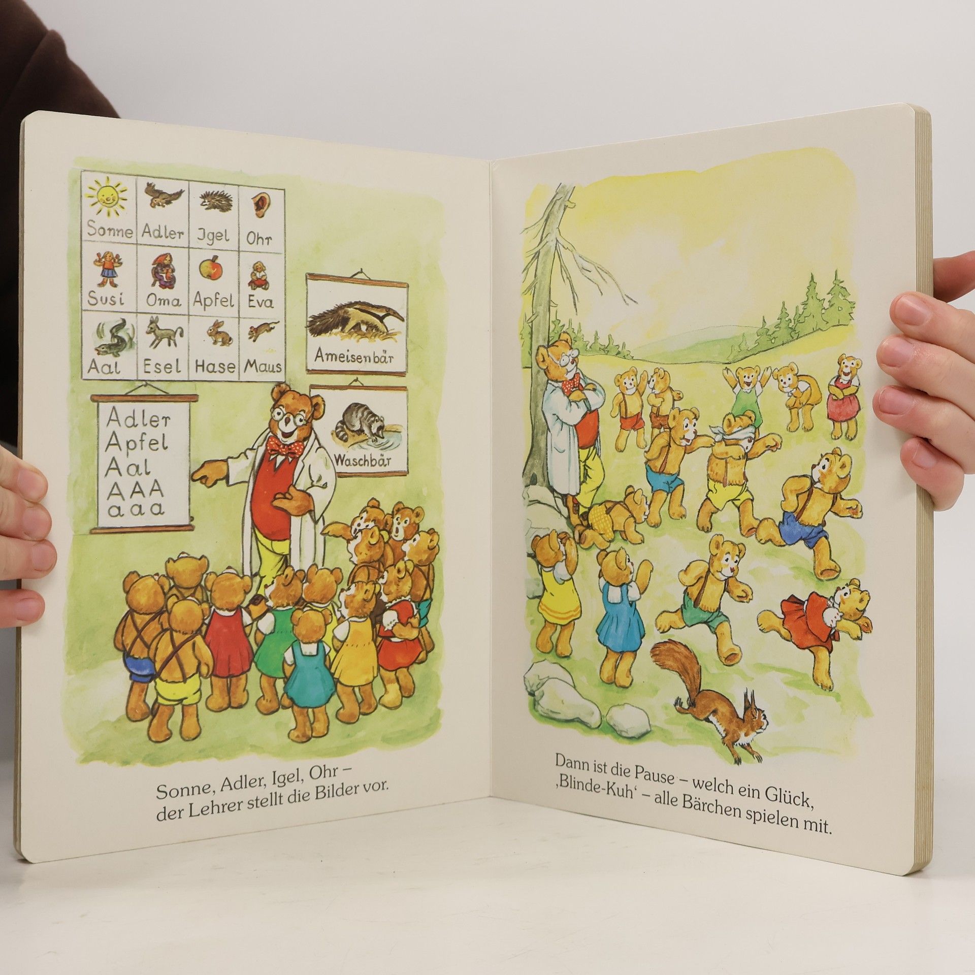 Autores varios Mein grosses Teddybuch