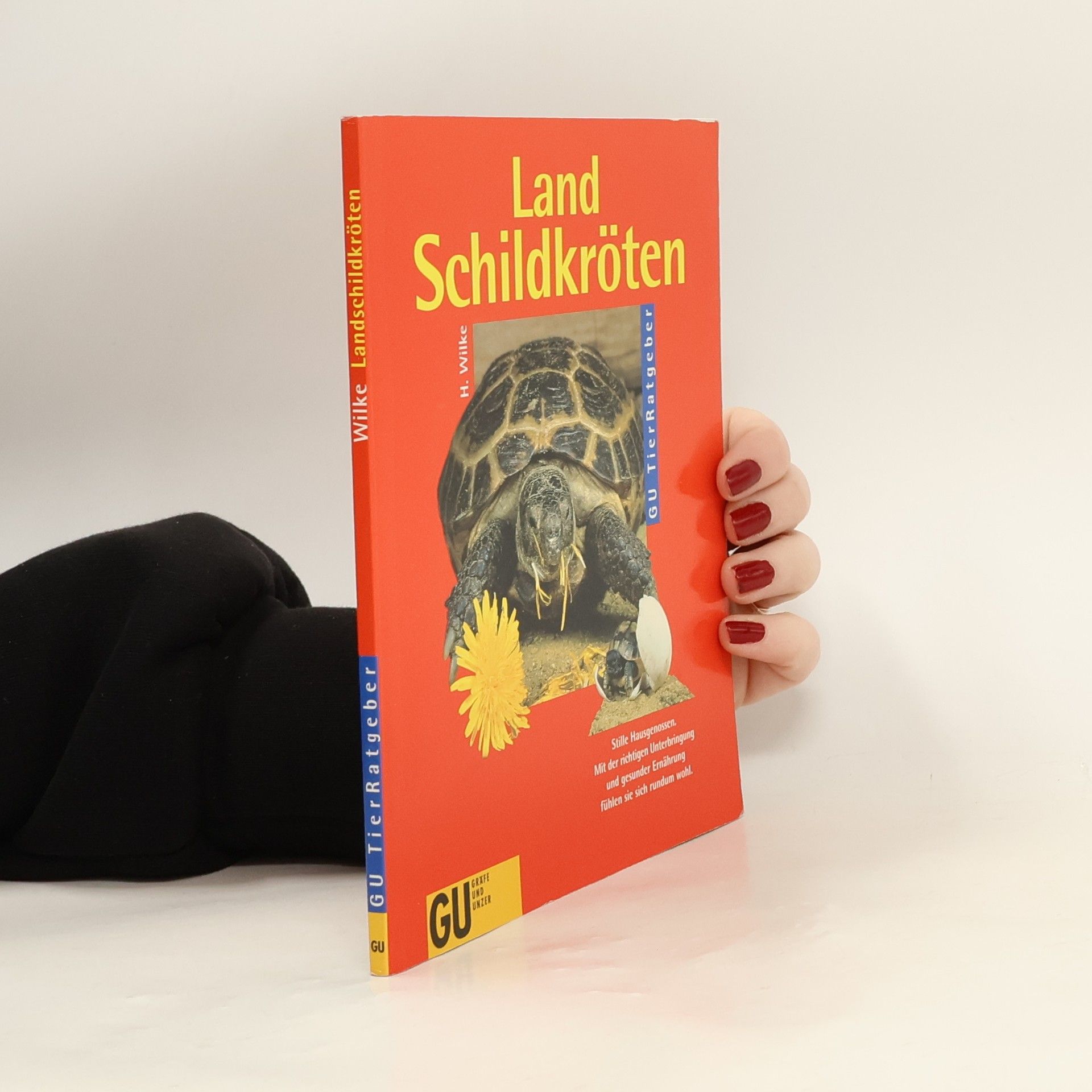 Hartmut Wilke Landschildkröten