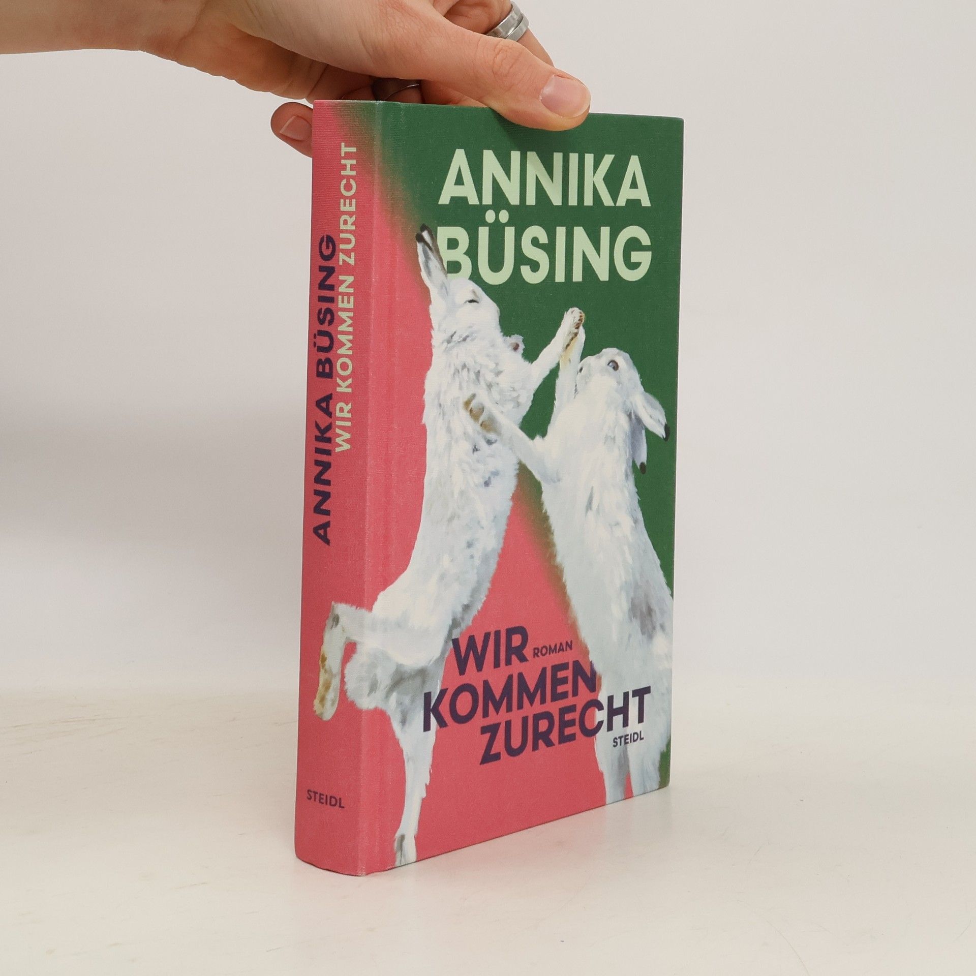 Annika Büsing Wir kommen zurecht