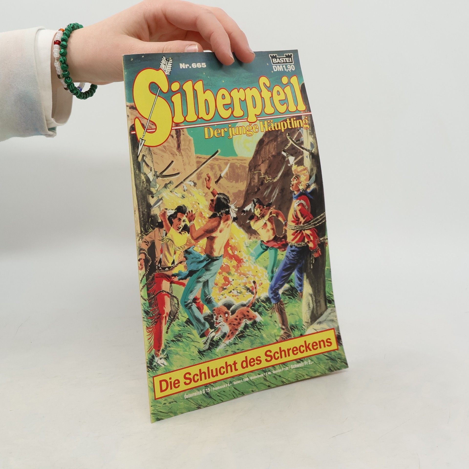 Autores varios Silberpfeil 665: Der junge Häuptling