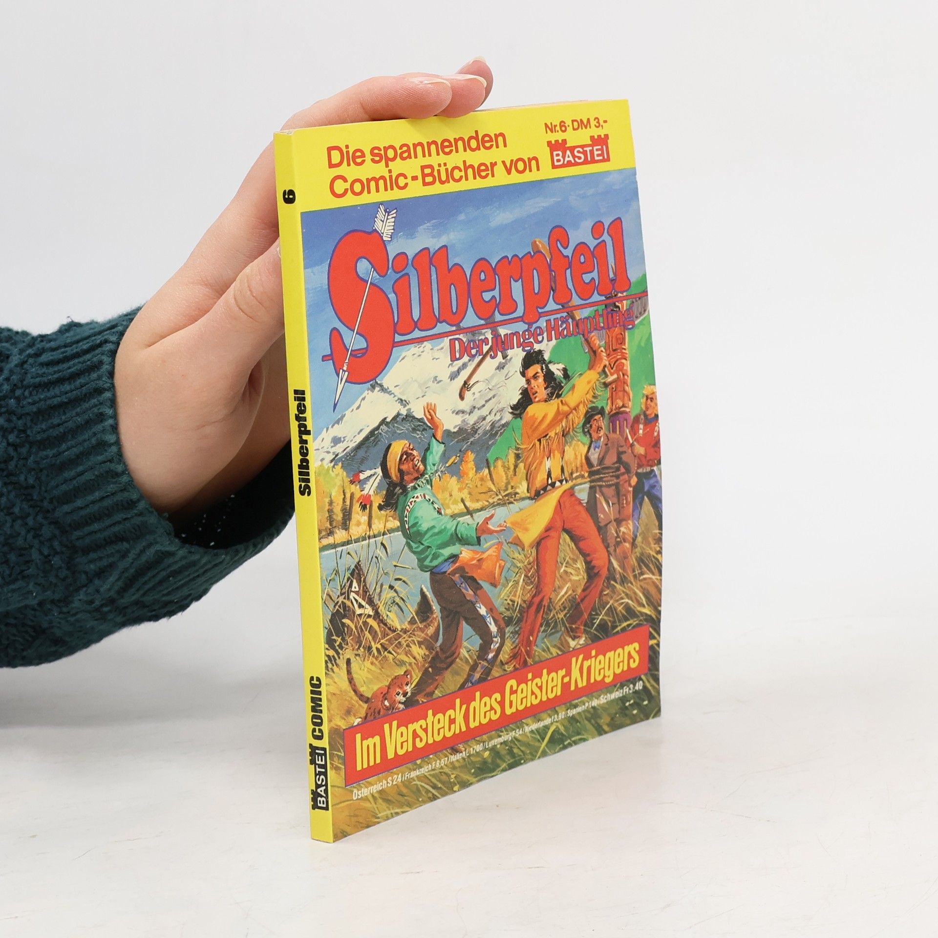 Collectif d'auteurs Silberpfeil 6. Der junge Häuptling