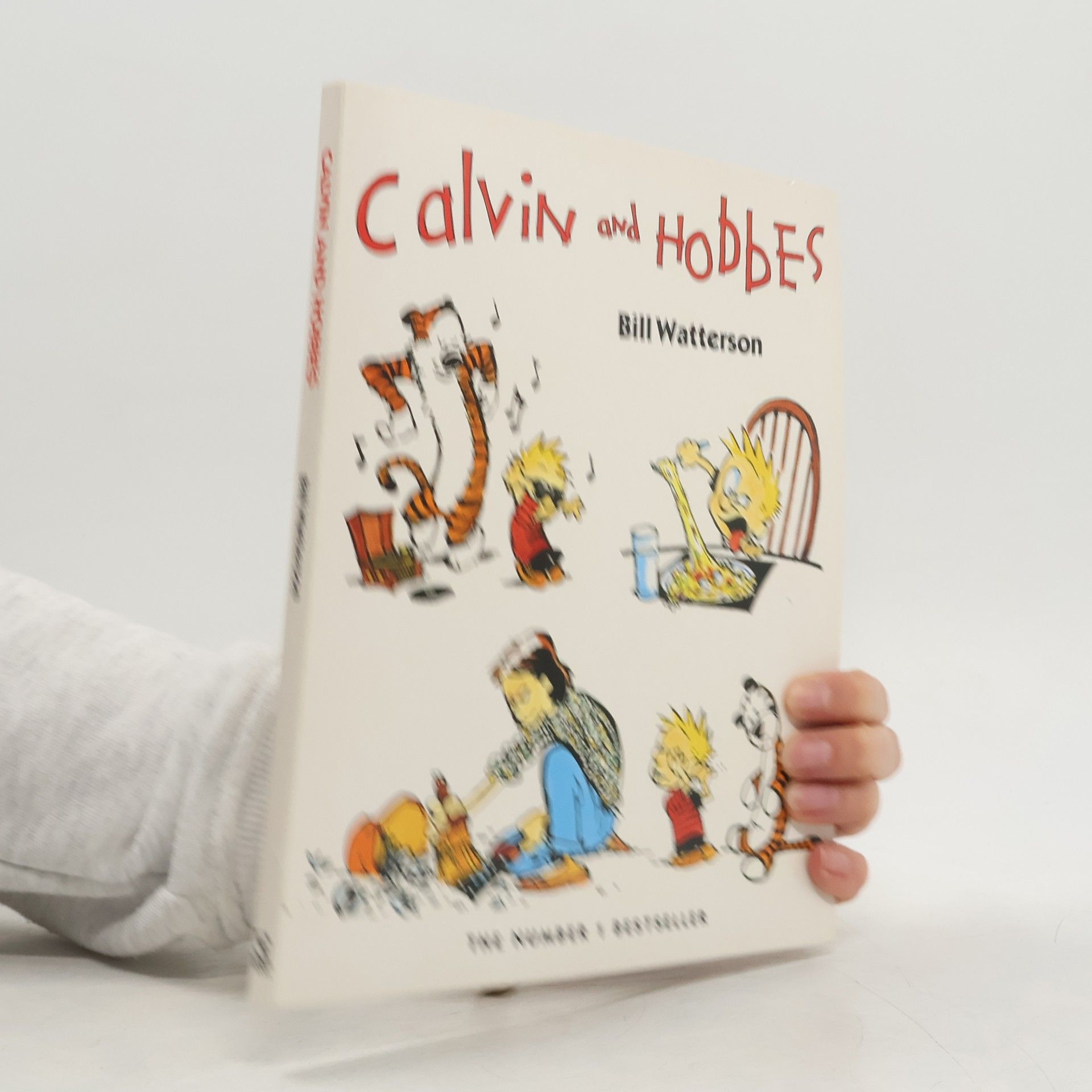 Calvin and Hobbes