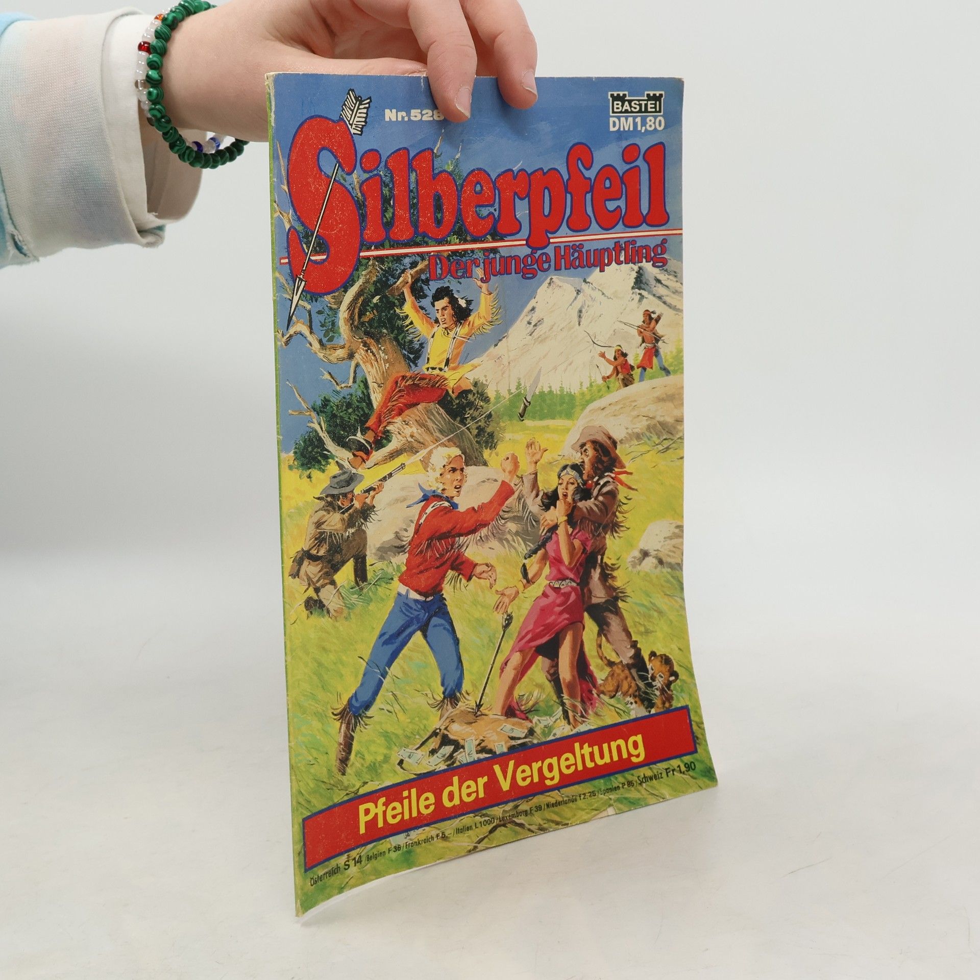 Autores varios Silberpfeil 528: Der junge Häuptling