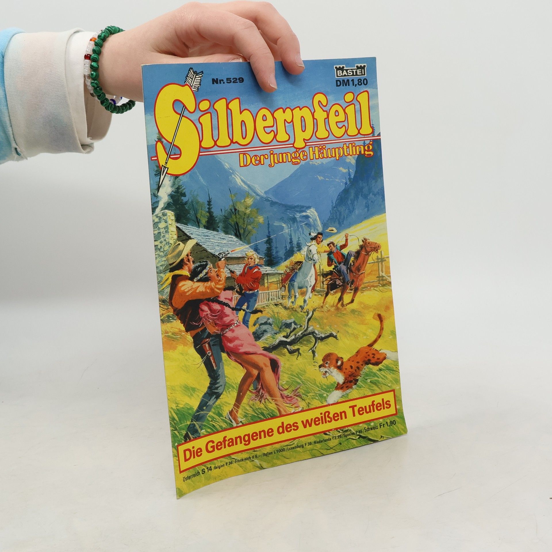 AA.VV. Silberpfeil 529. Der junge Häuptling