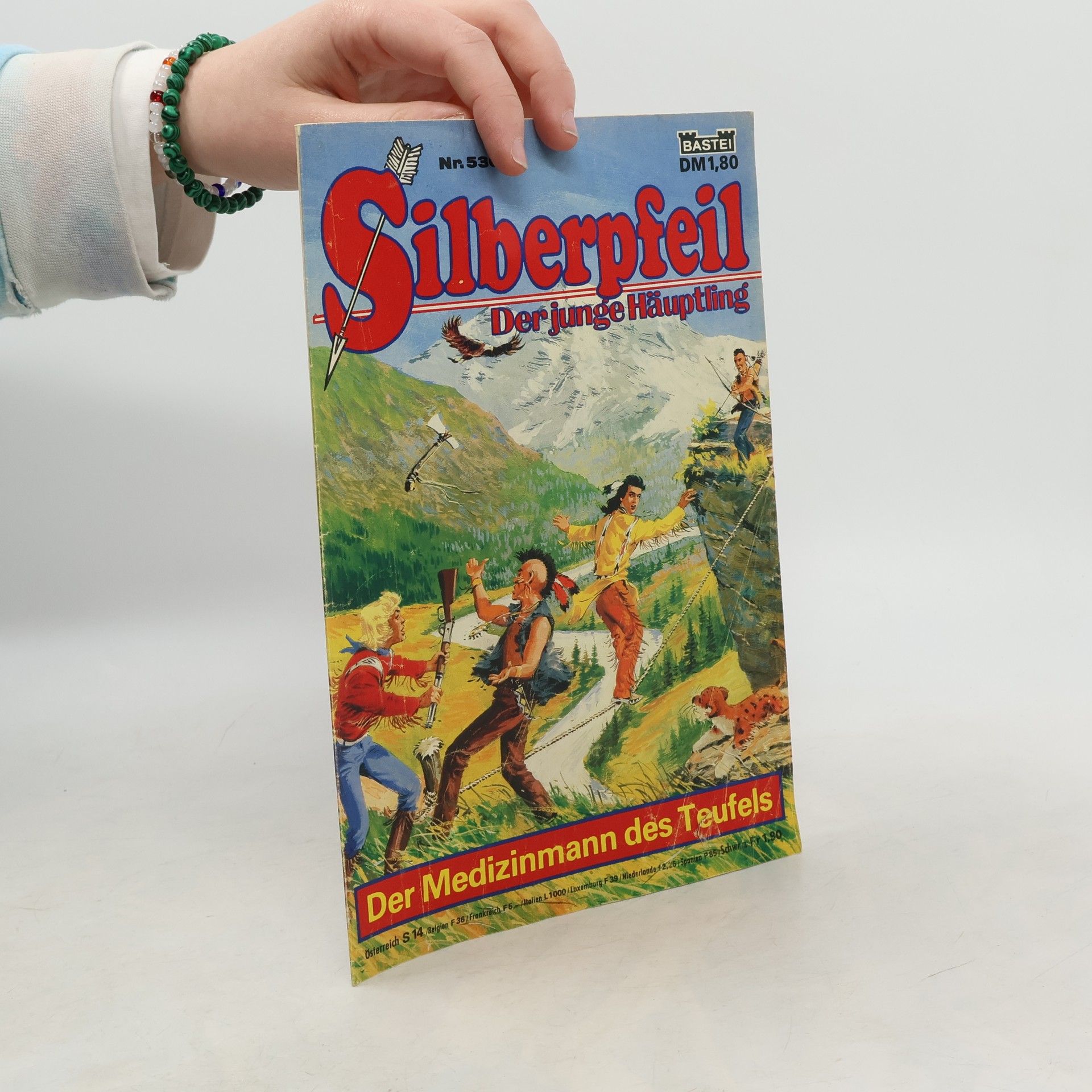 Autores varios Silberpfeil 530: Der junge Häuptling