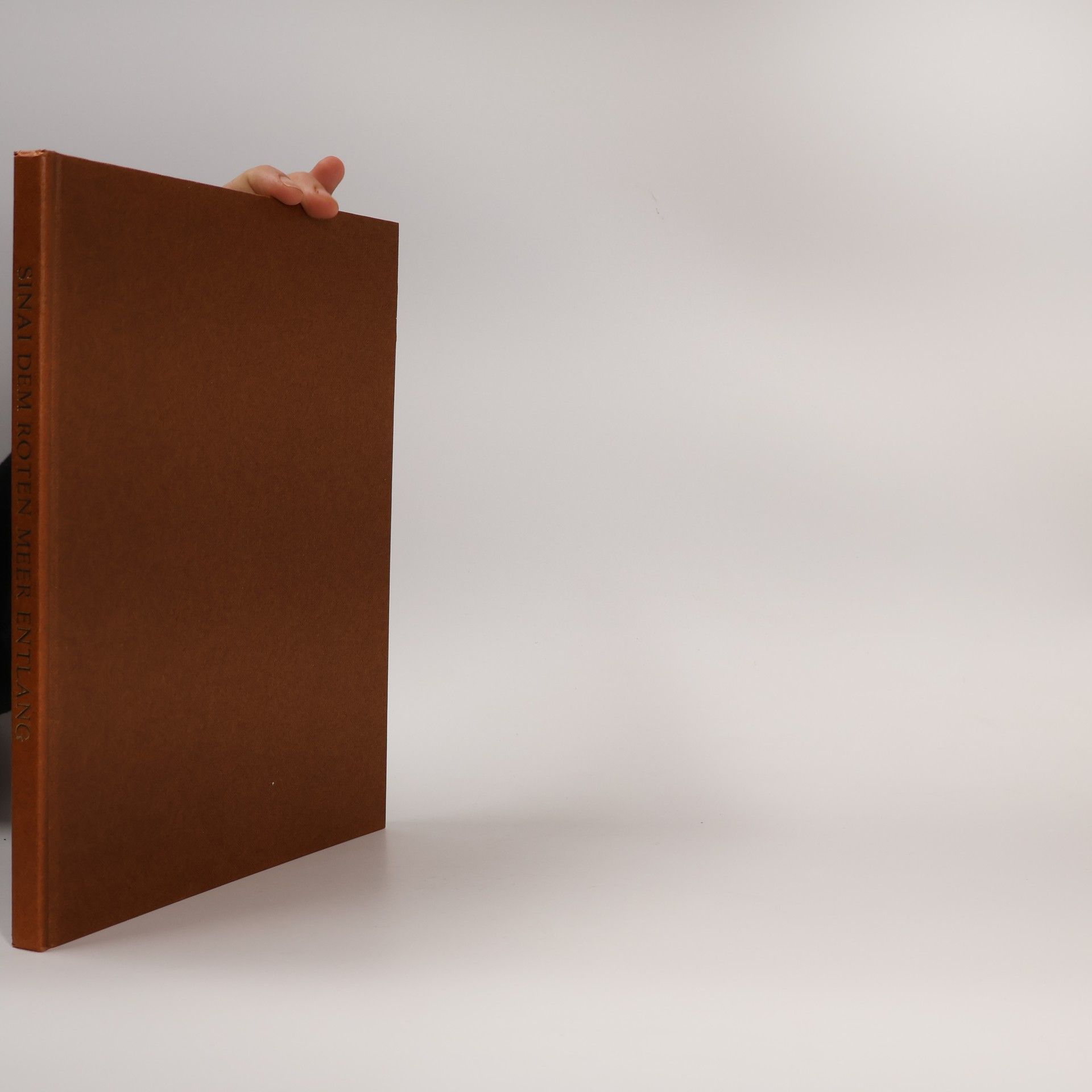 Eliezer Taragan Sinai dem Roten Meer entlang