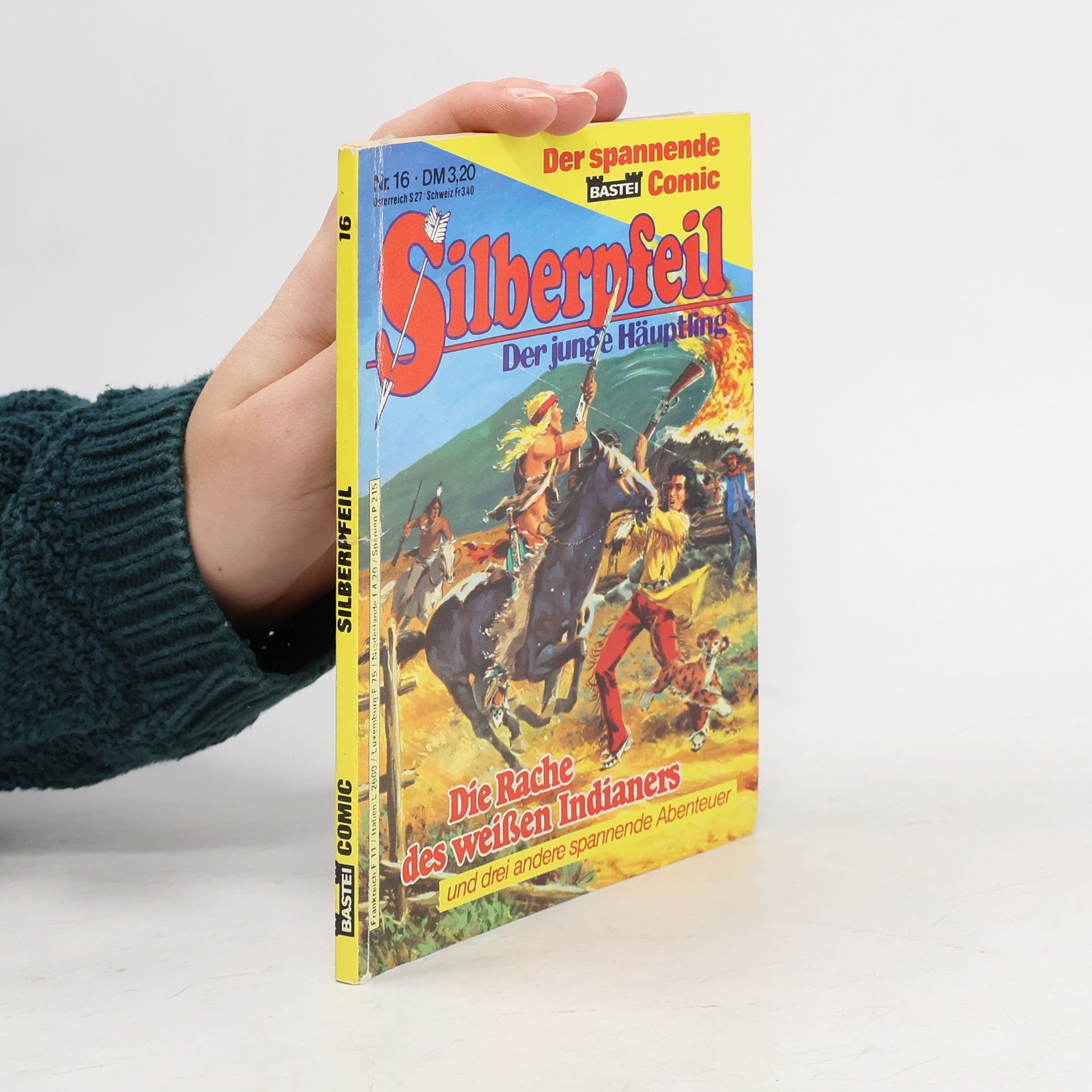 Collectif d'auteurs Silberpfeil 16. Der junge Häuptling