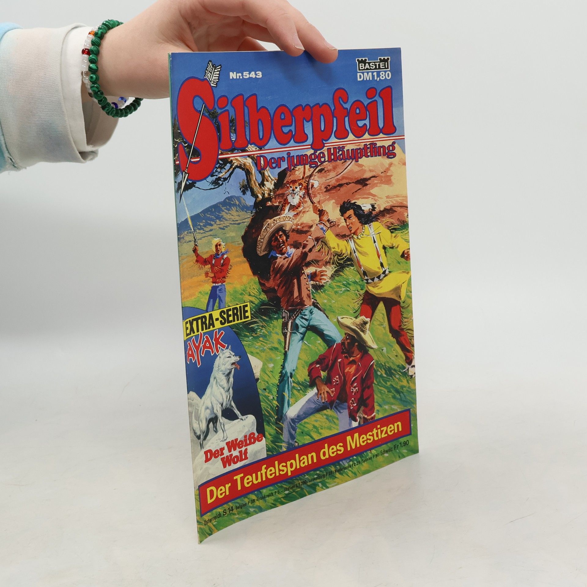 Collectif d'auteurs Silberpfeil 543. Der junge Häuptling