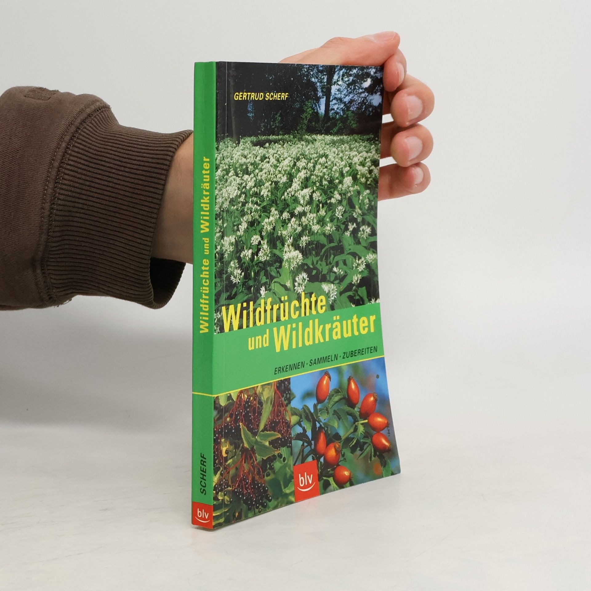 Gertrud Scherf Wildfrüchte und Wildkräuter