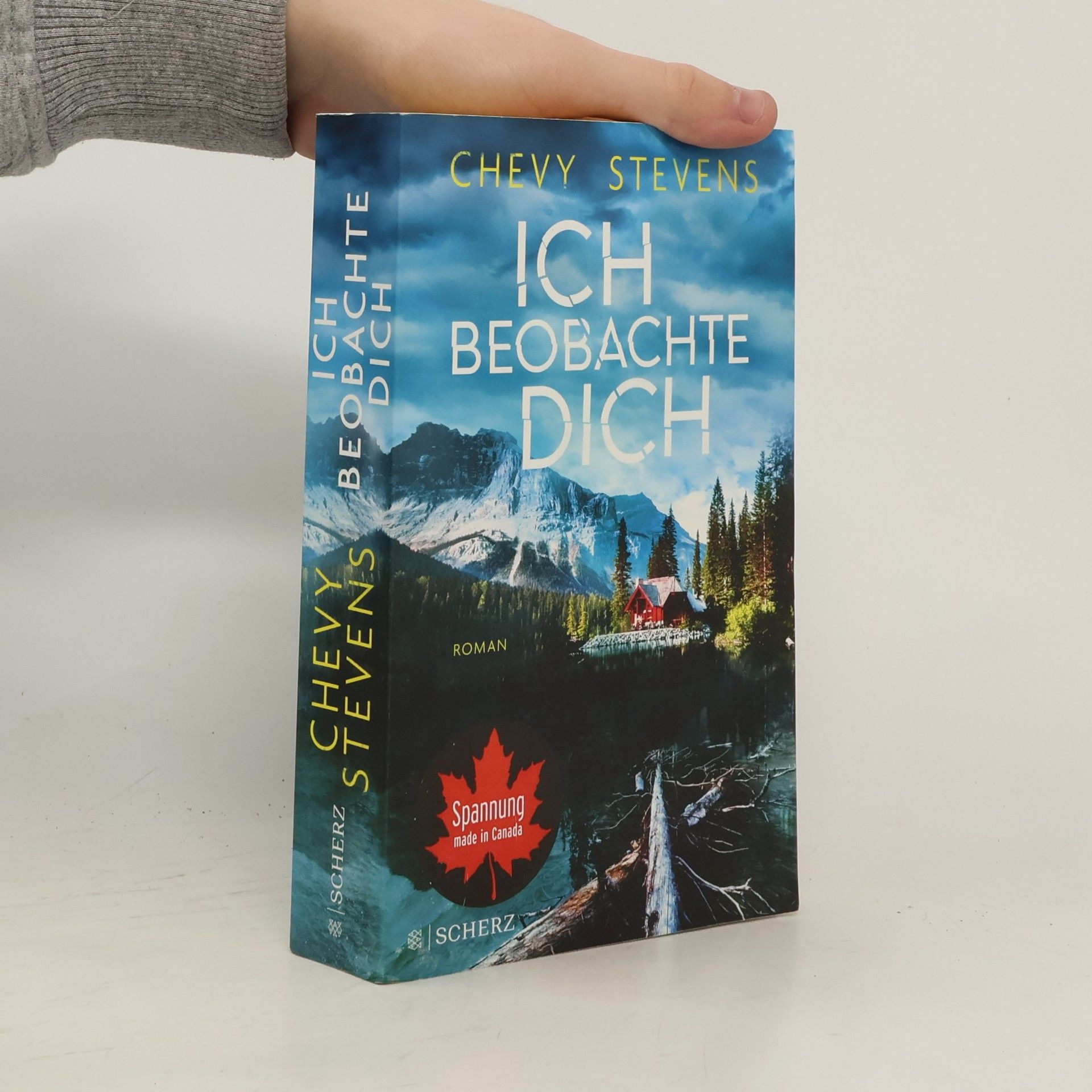 Chevy Stevens Ich beobachte dich