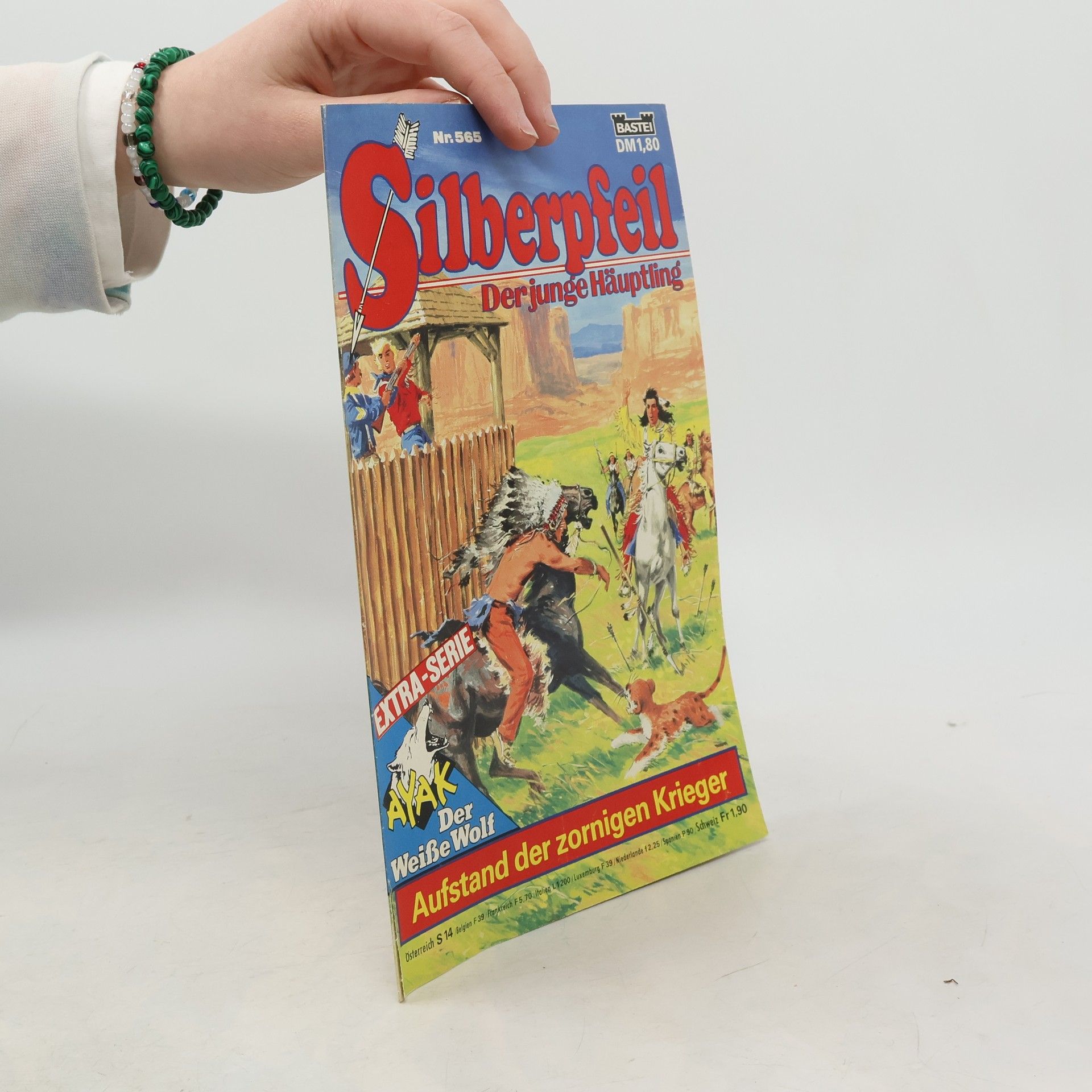 Autores varios Silberpfeil 565: Der junge Häuptling