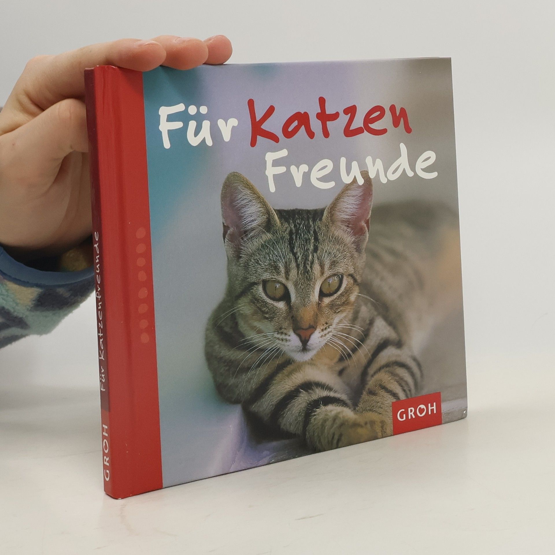 Nina Sandmann Für Katzenfreunde